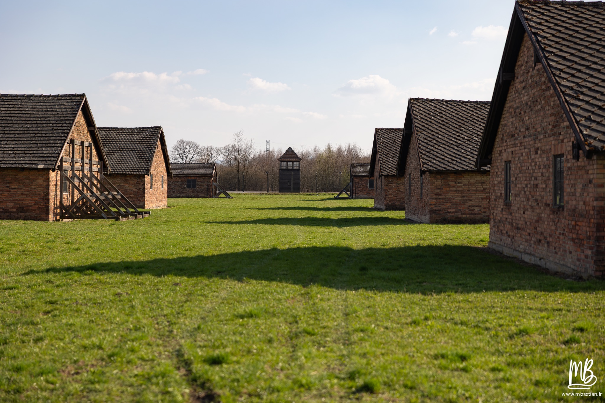 2026 04 03 Auschwitz Birkenau MB 102