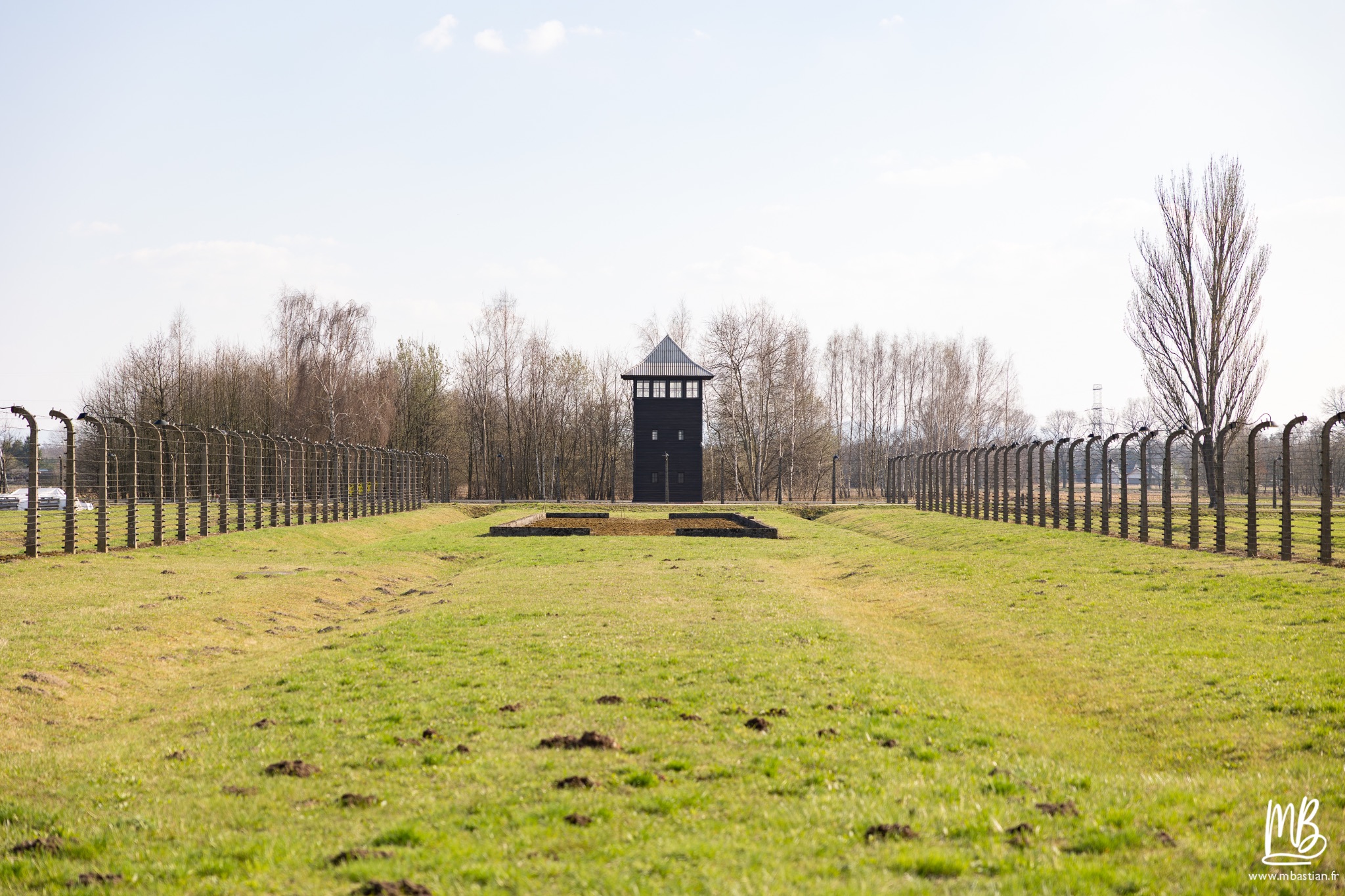 2026 04 03 Auschwitz Birkenau MB 104
