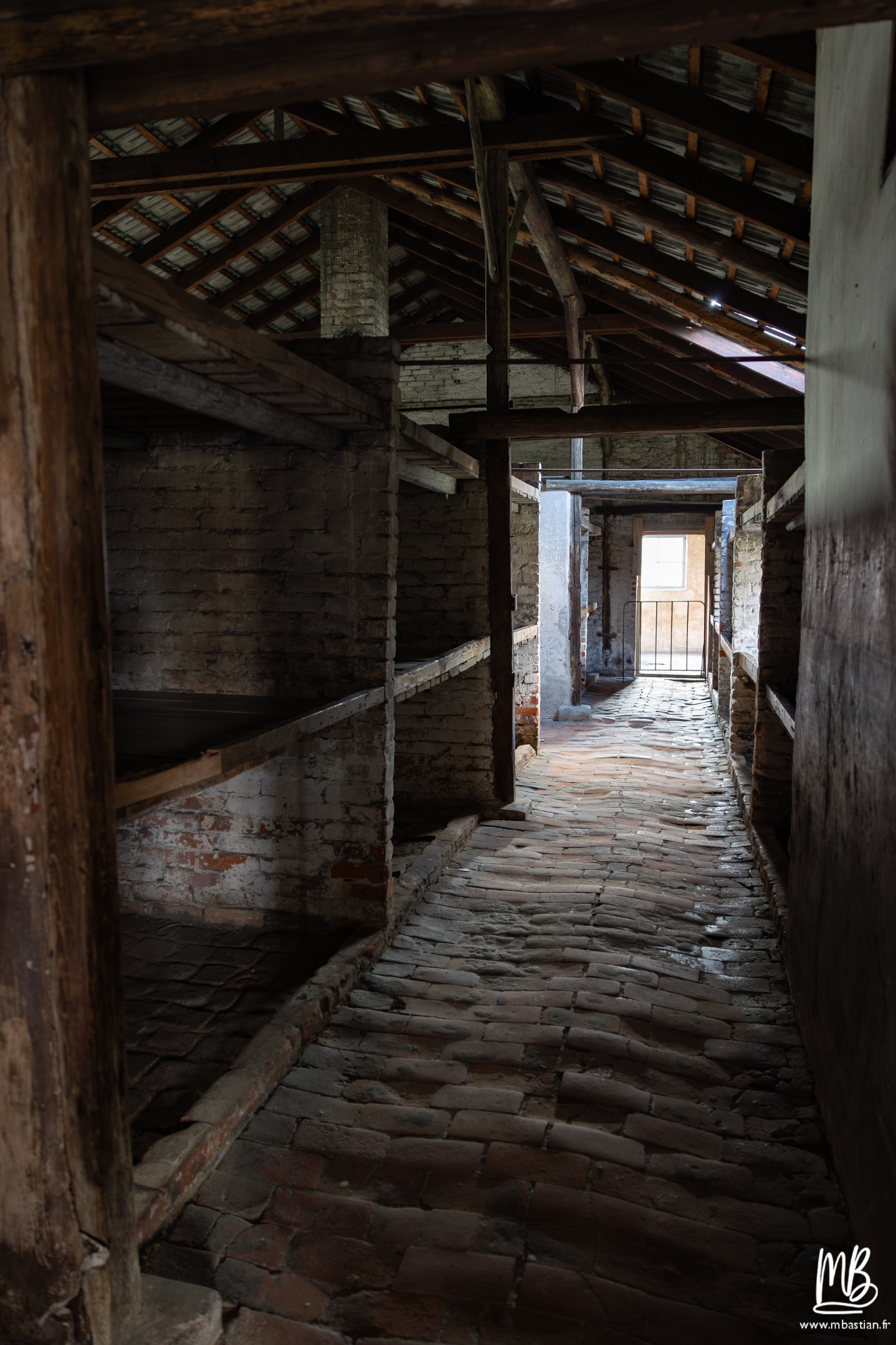 2026 04 03 Auschwitz Birkenau MB 106