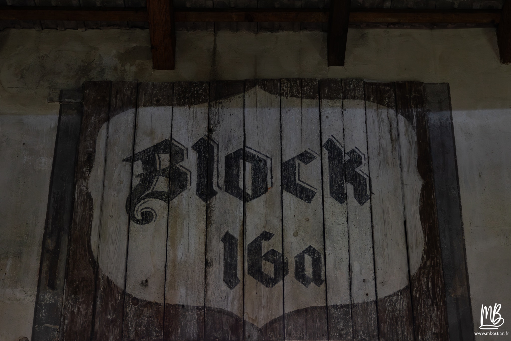 2026 04 03 Auschwitz Birkenau MB 107