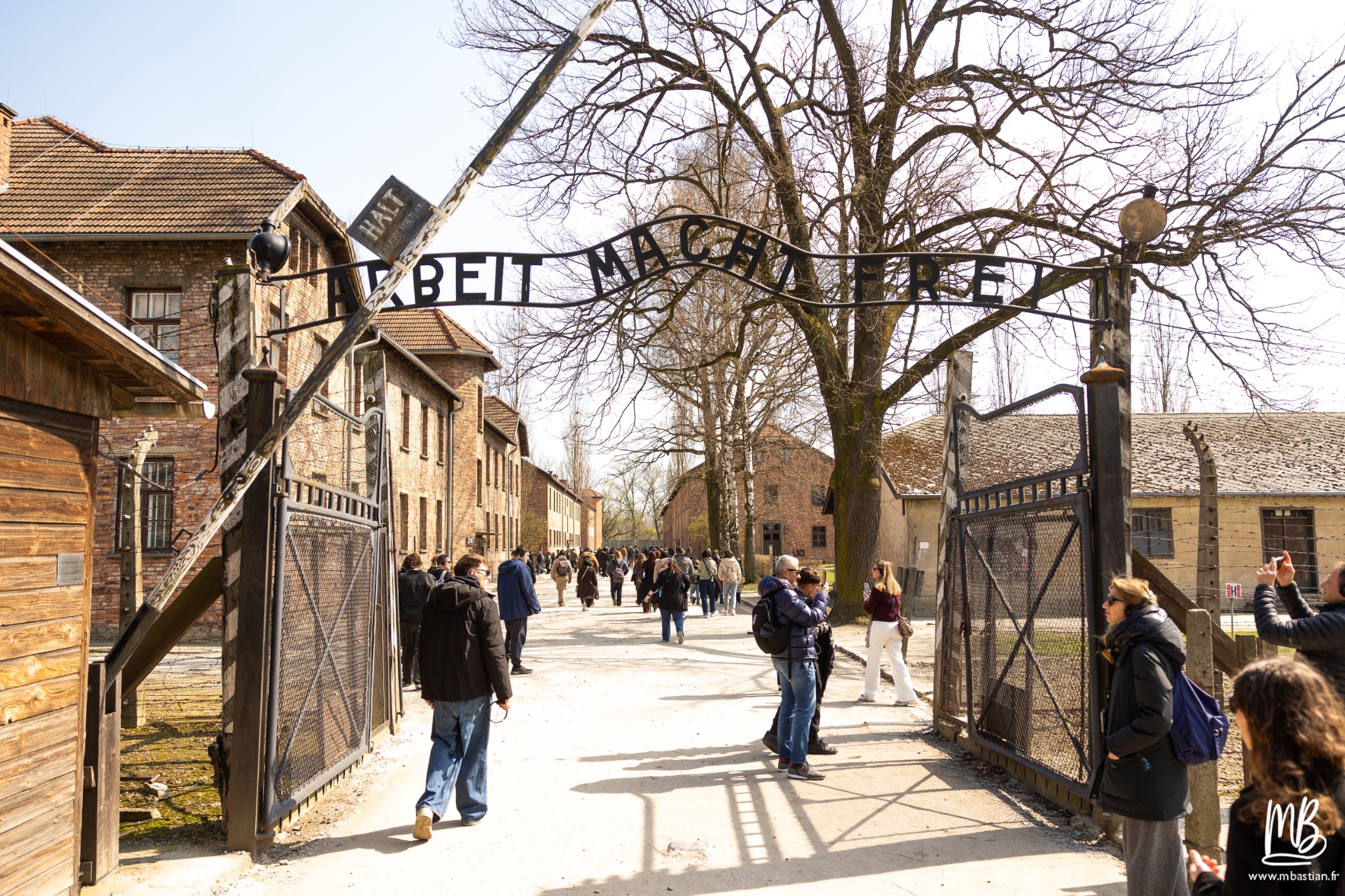 2026 04 03 Auschwitz Birkenau MB 11