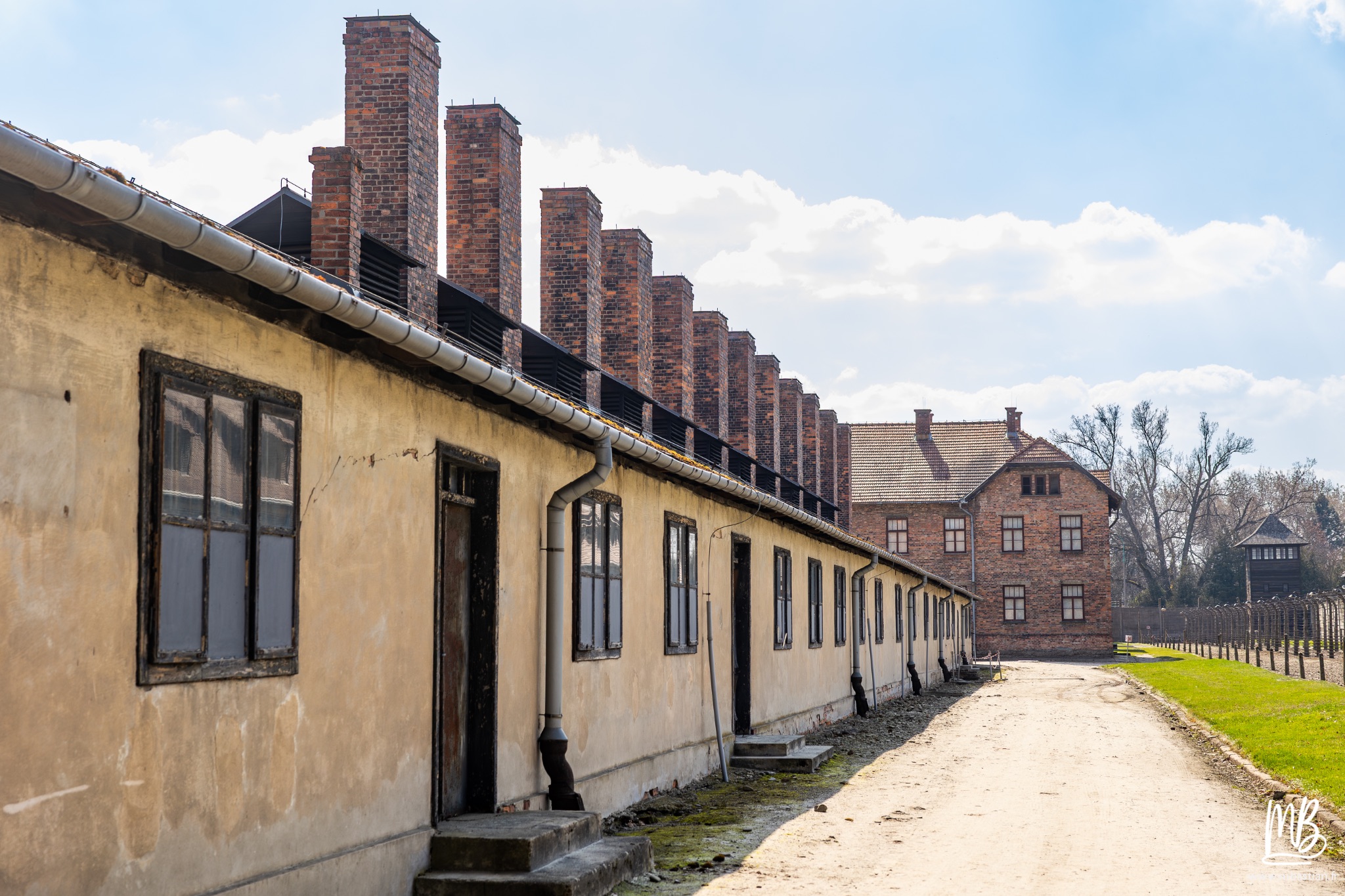 2026 04 03 Auschwitz Birkenau MB 12