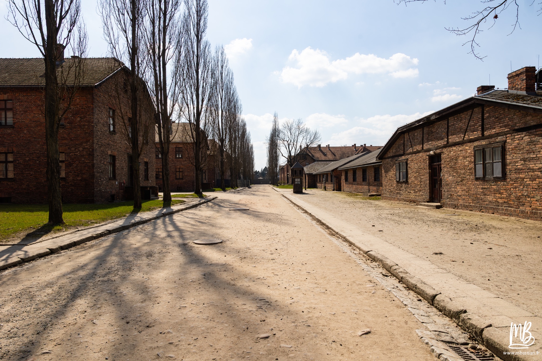 2026 04 03 Auschwitz Birkenau MB 13