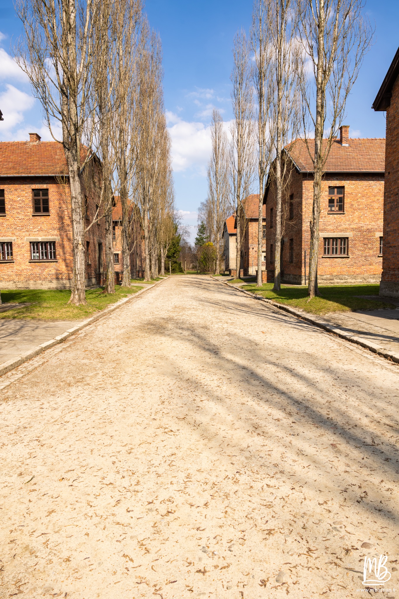 2026 04 03 Auschwitz Birkenau MB 15