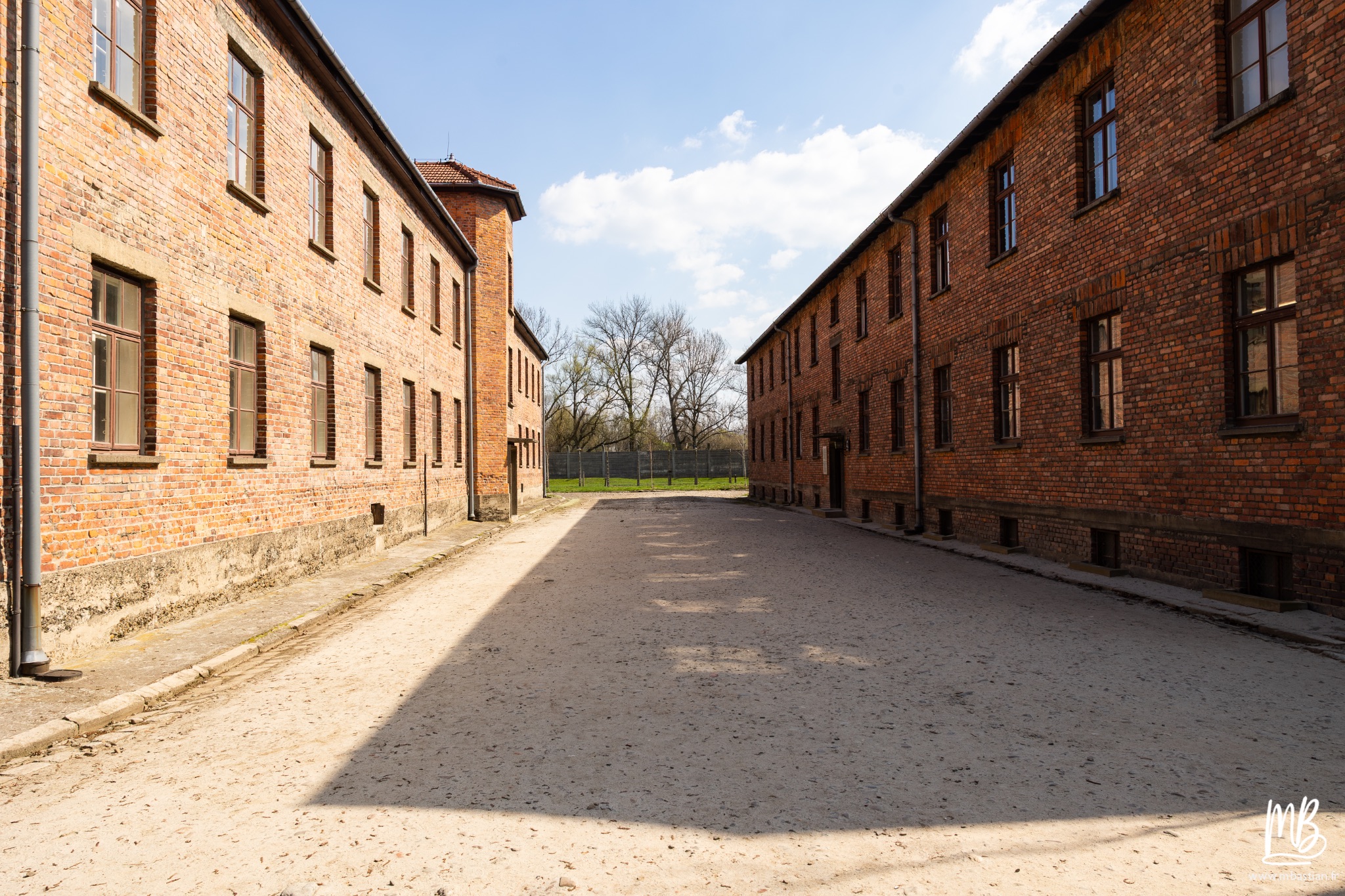2026 04 03 Auschwitz Birkenau MB 16