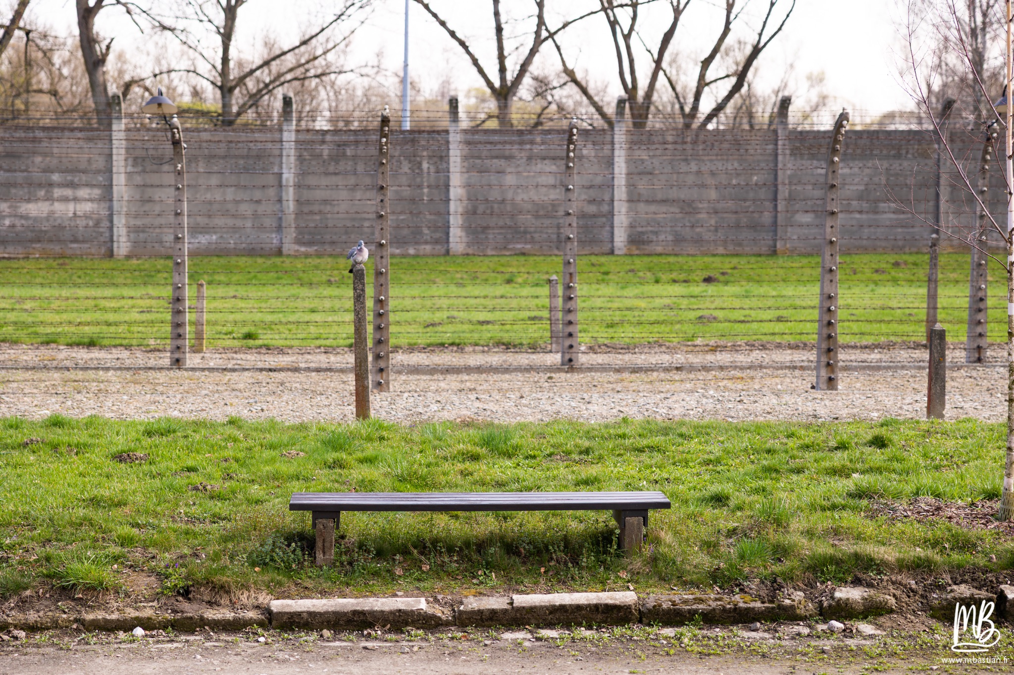 2026 04 03 Auschwitz Birkenau MB 24