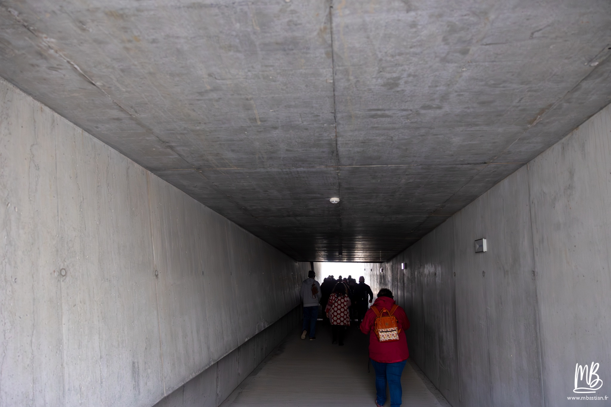 2026 04 03 Auschwitz Birkenau MB 3