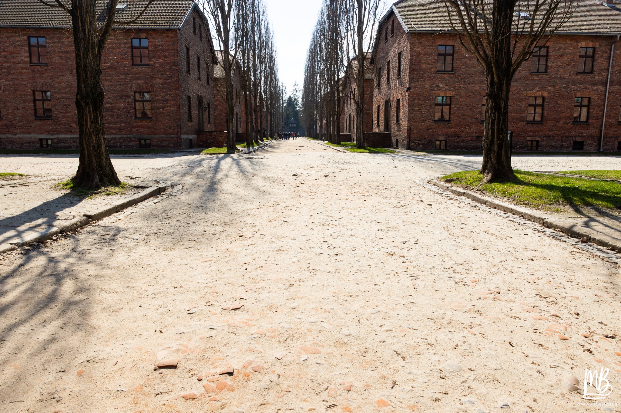 2026 04 03 Auschwitz Birkenau MB 37