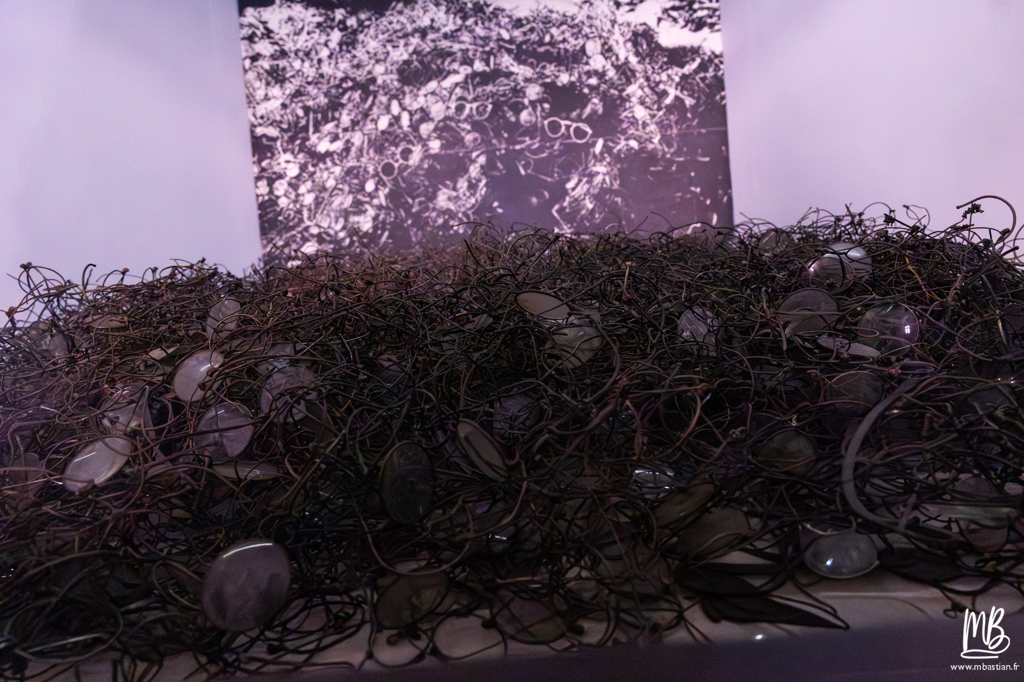 2026 04 03 Auschwitz Birkenau MB 38