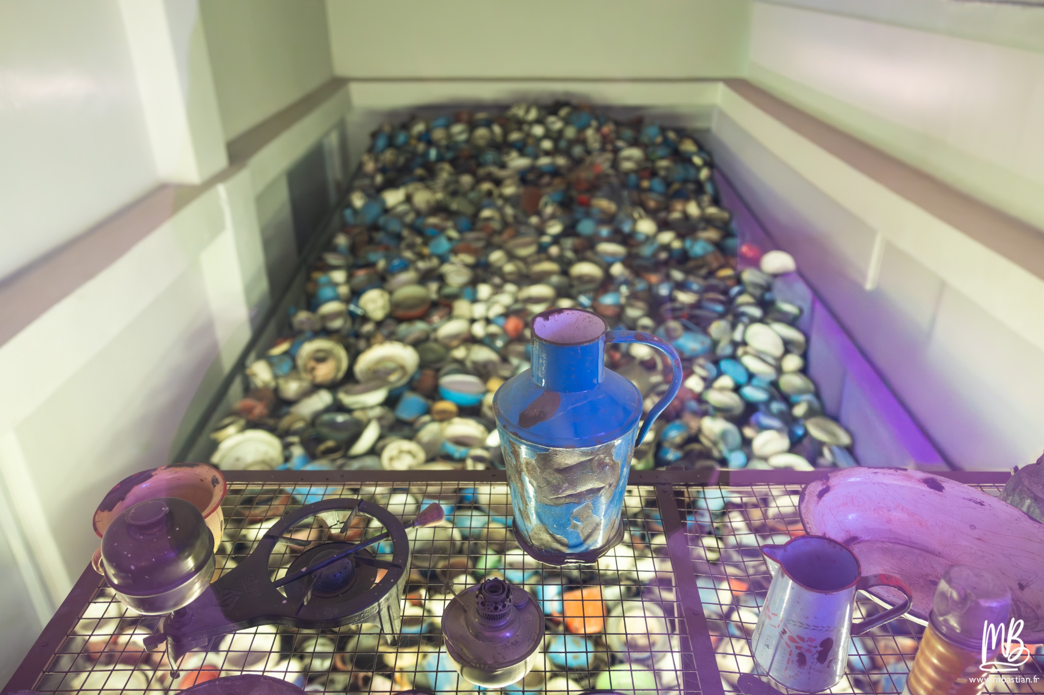 2026 04 03 Auschwitz Birkenau MB 41