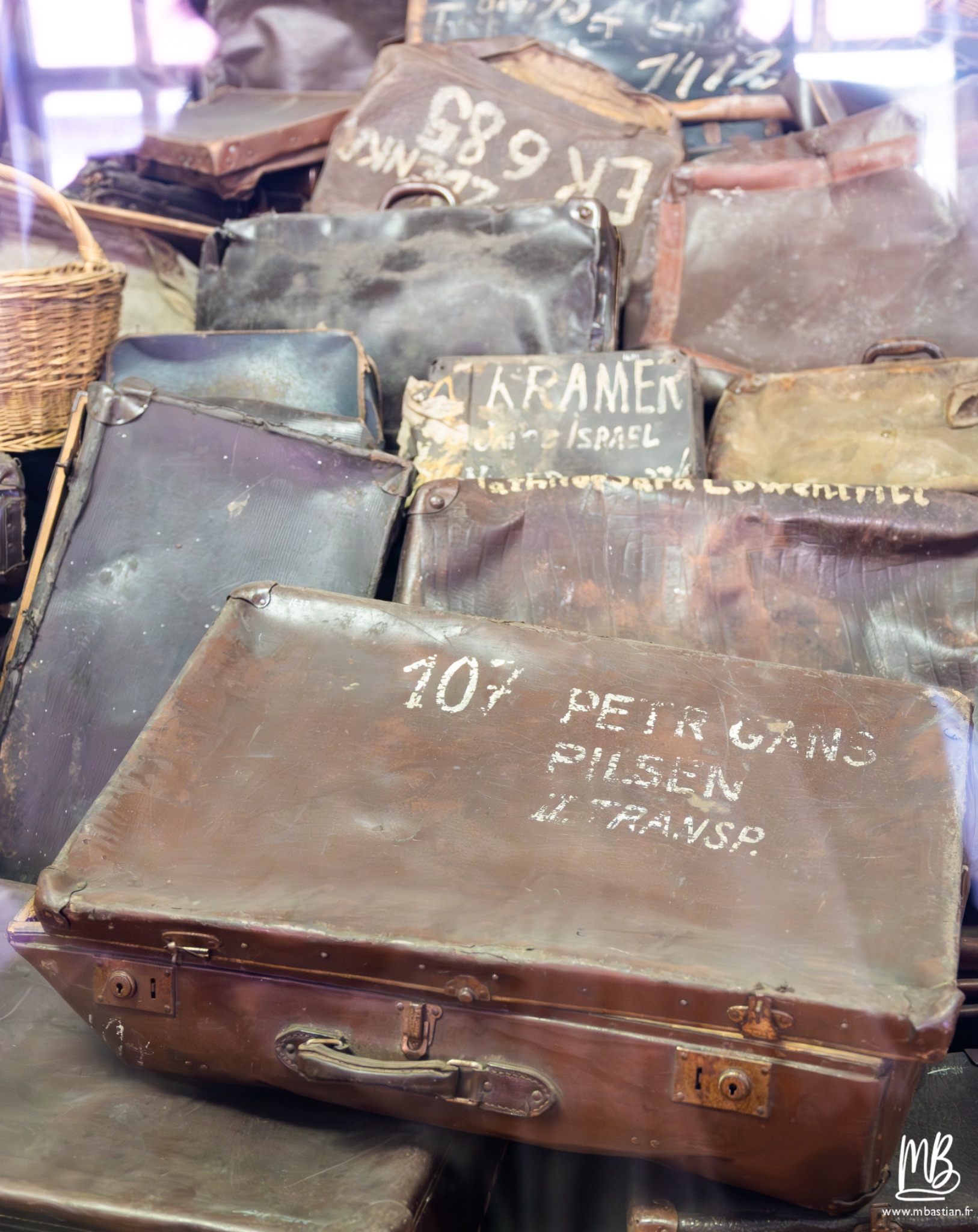 2026 04 03 Auschwitz Birkenau MB 44