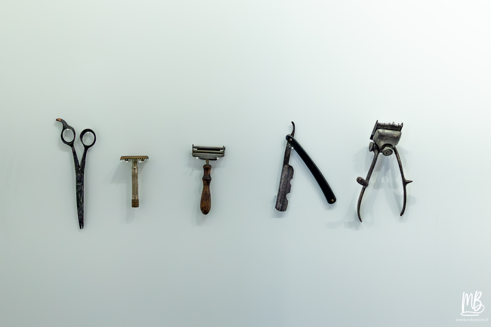 2026 04 03 Auschwitz Birkenau MB 50