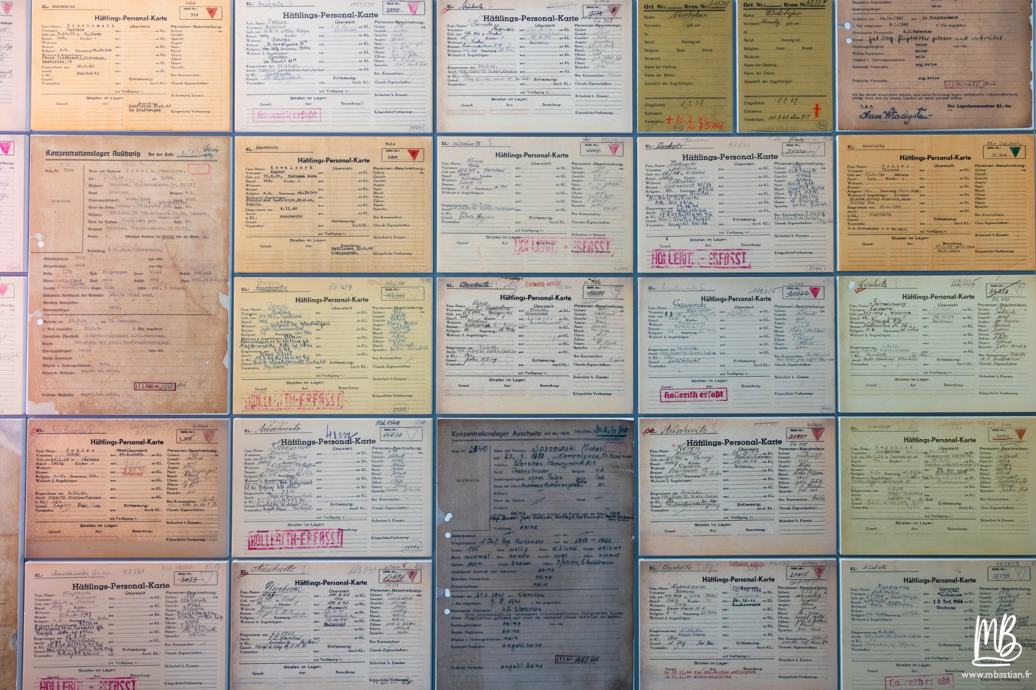 2026 04 03 Auschwitz Birkenau MB 52