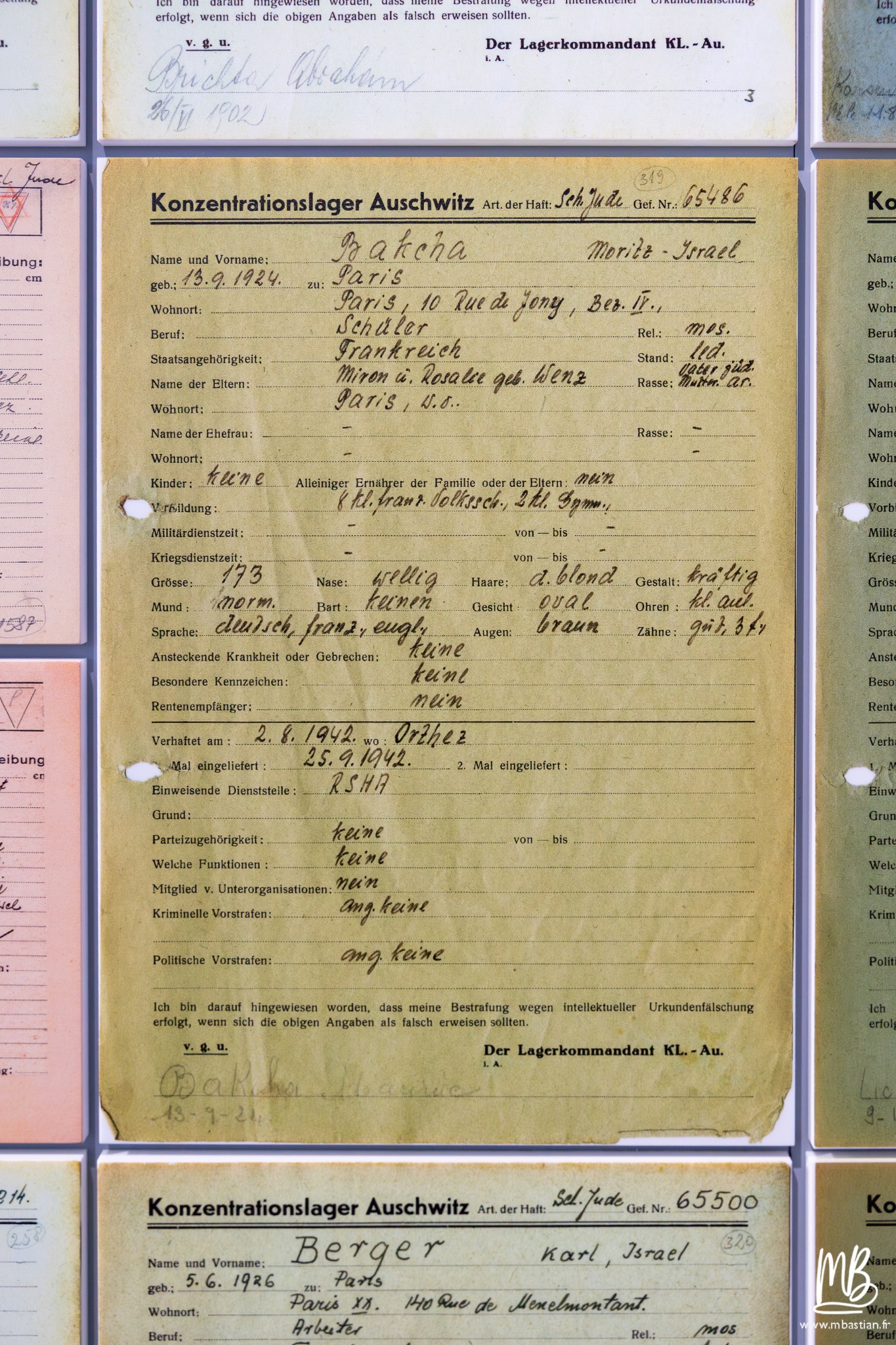 2026 04 03 Auschwitz Birkenau MB 53