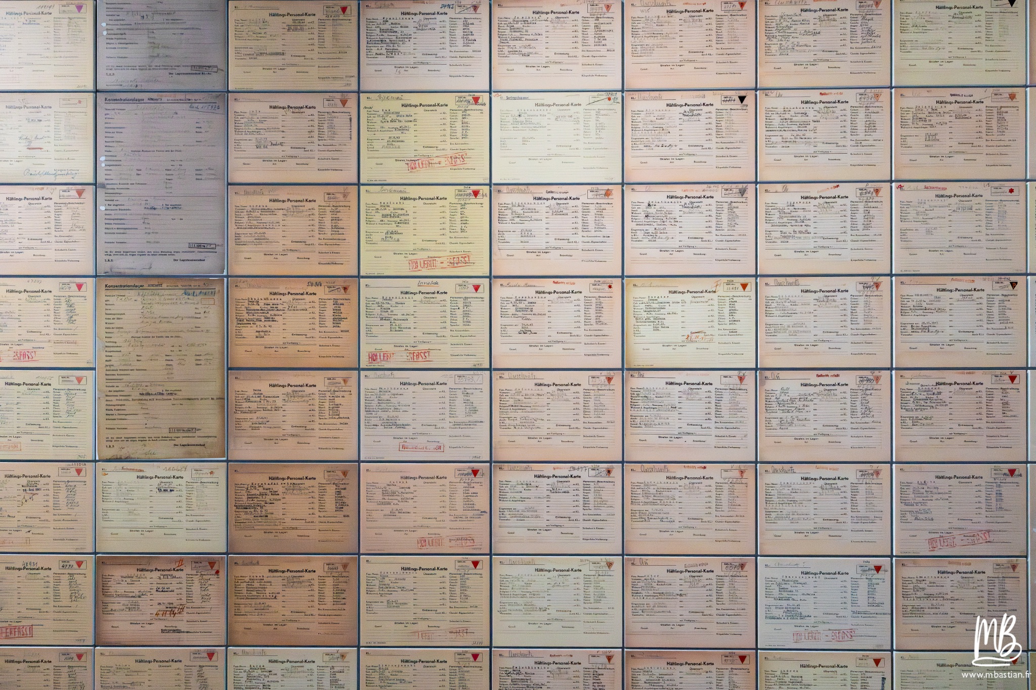 2026 04 03 Auschwitz Birkenau MB 54