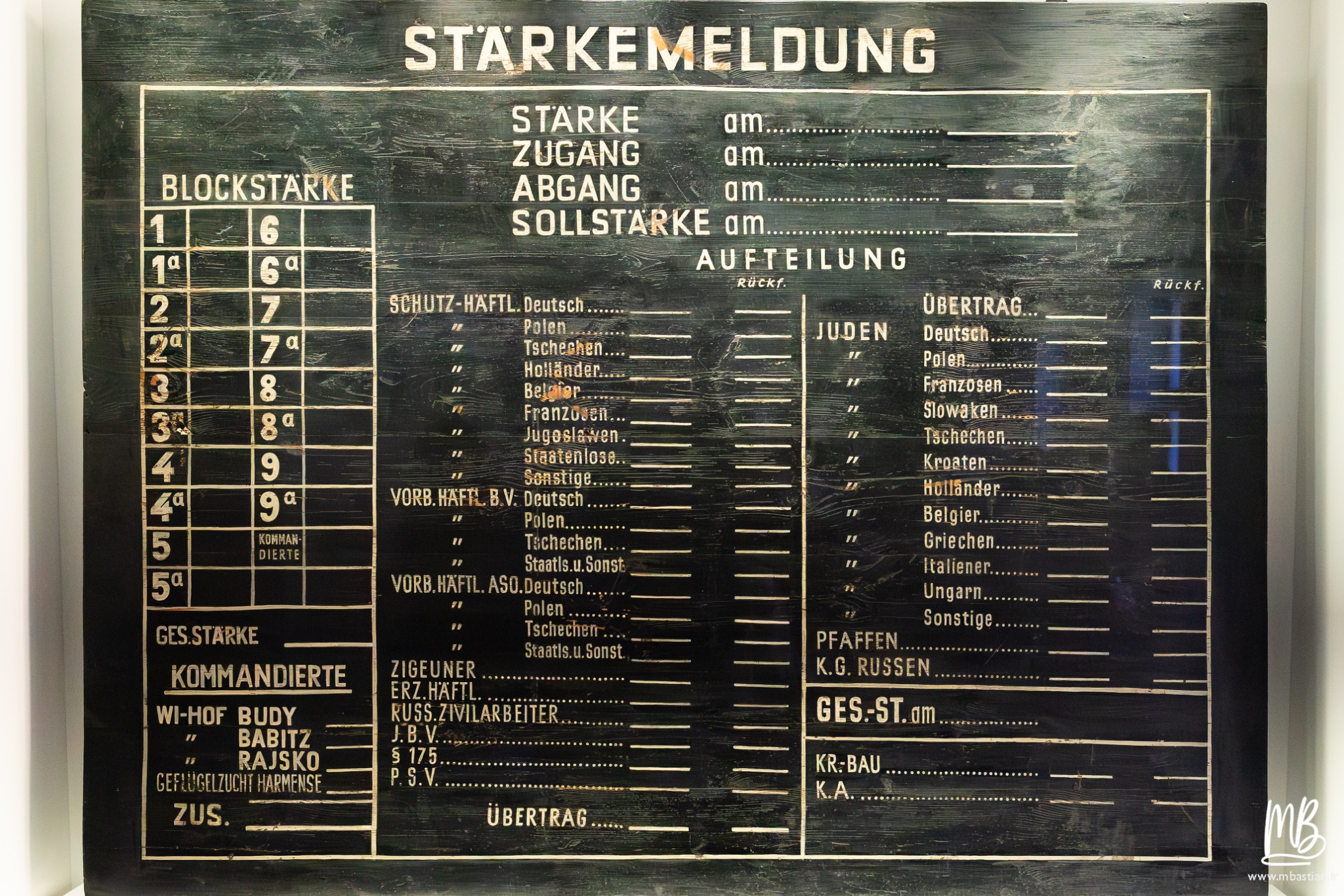 2026 04 03 Auschwitz Birkenau MB 56