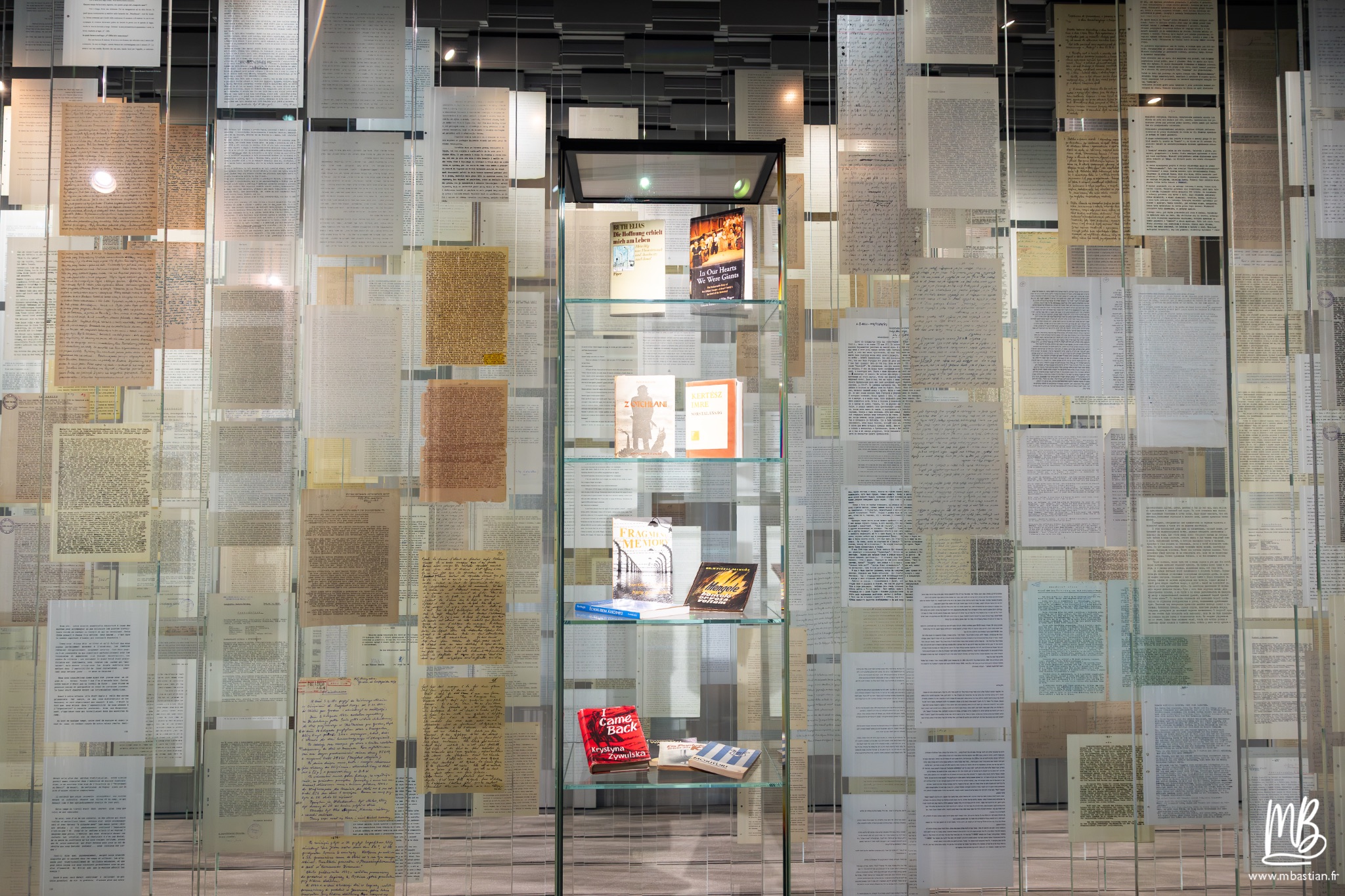 2026 04 03 Auschwitz Birkenau MB 59