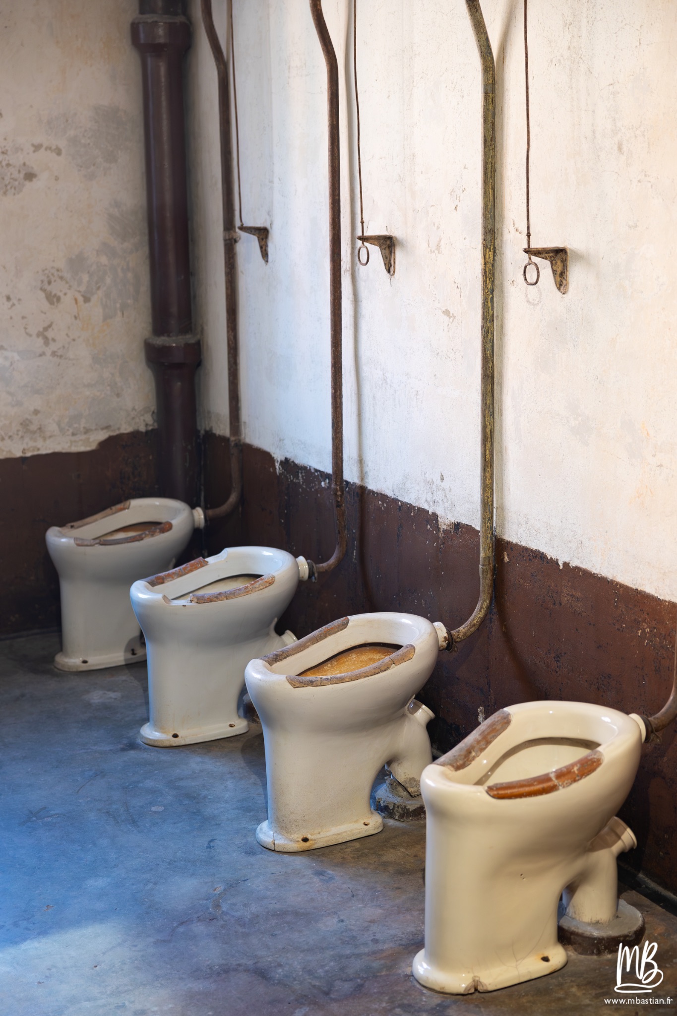 2026 04 03 Auschwitz Birkenau MB 62