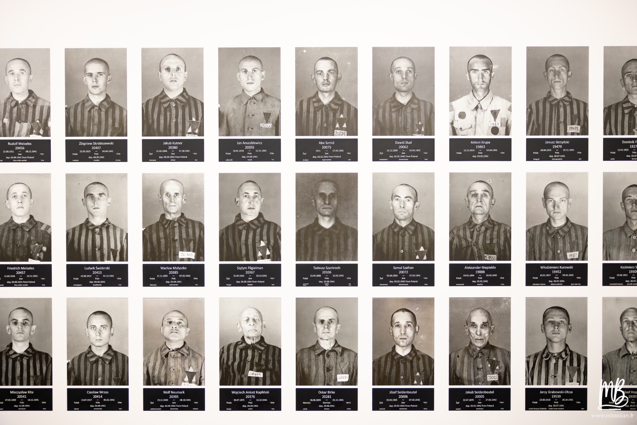 2026 04 03 Auschwitz Birkenau MB 68