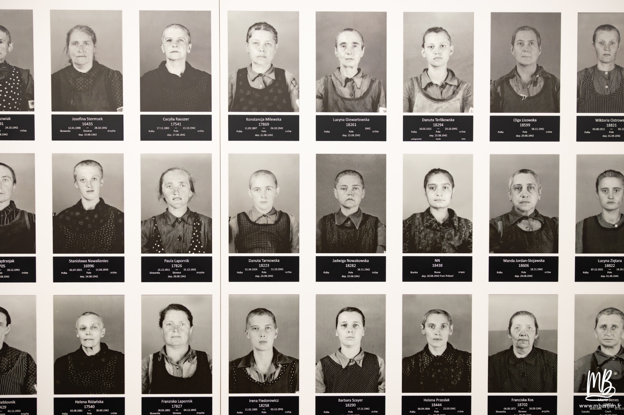 2026 04 03 Auschwitz Birkenau MB 69