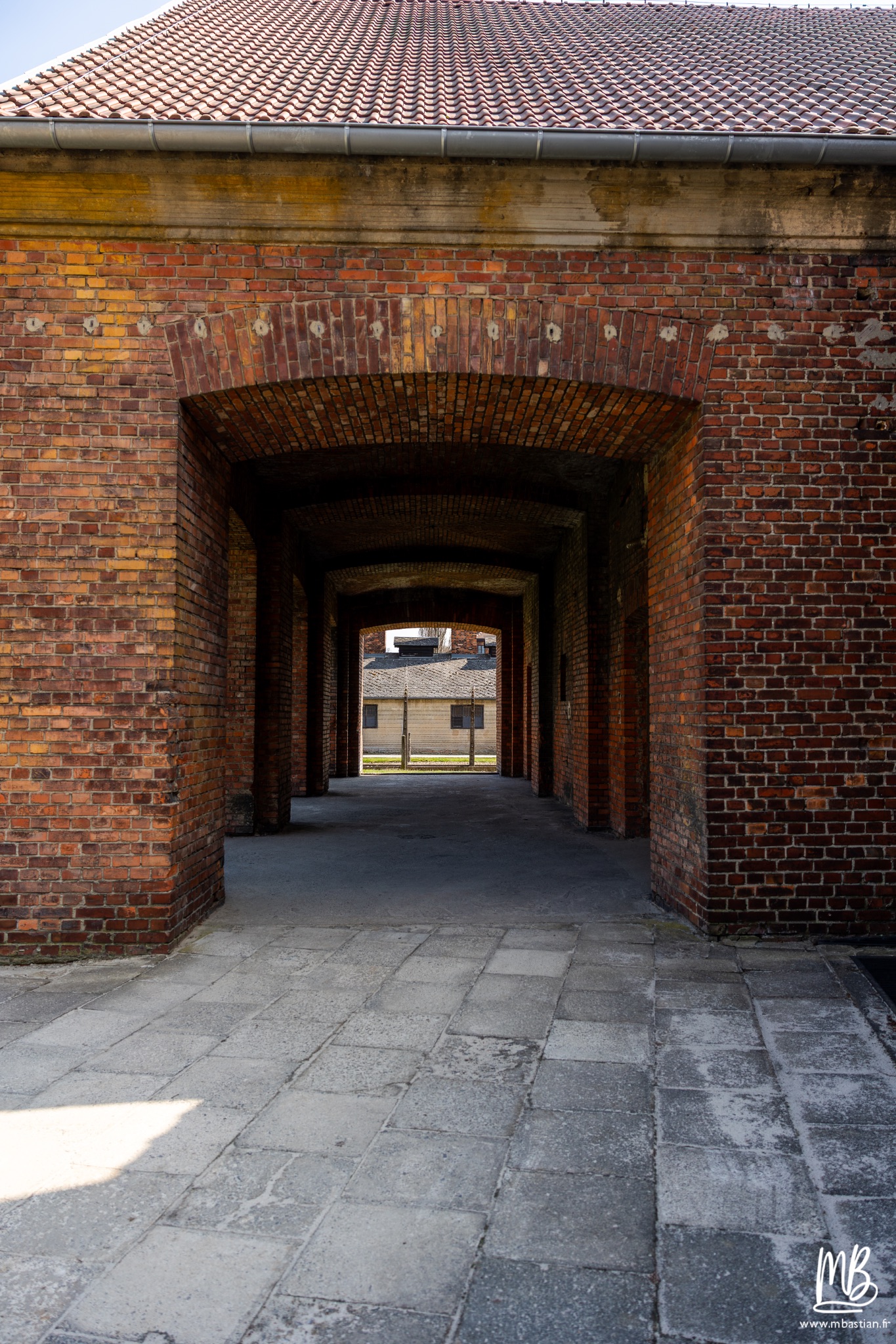 2026 04 03 Auschwitz Birkenau MB 7