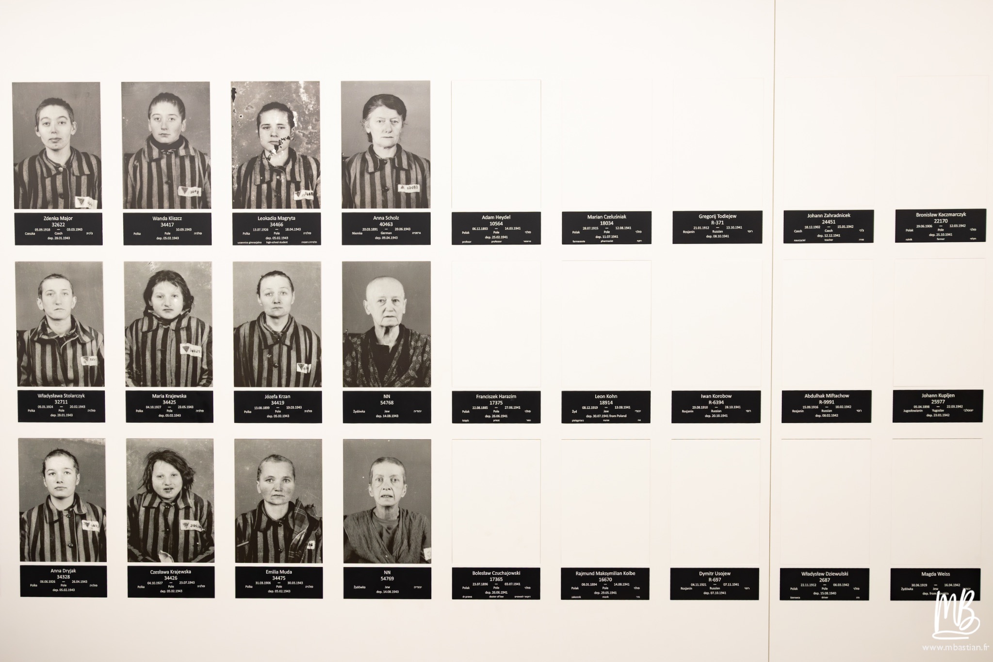 2026 04 03 Auschwitz Birkenau MB 70