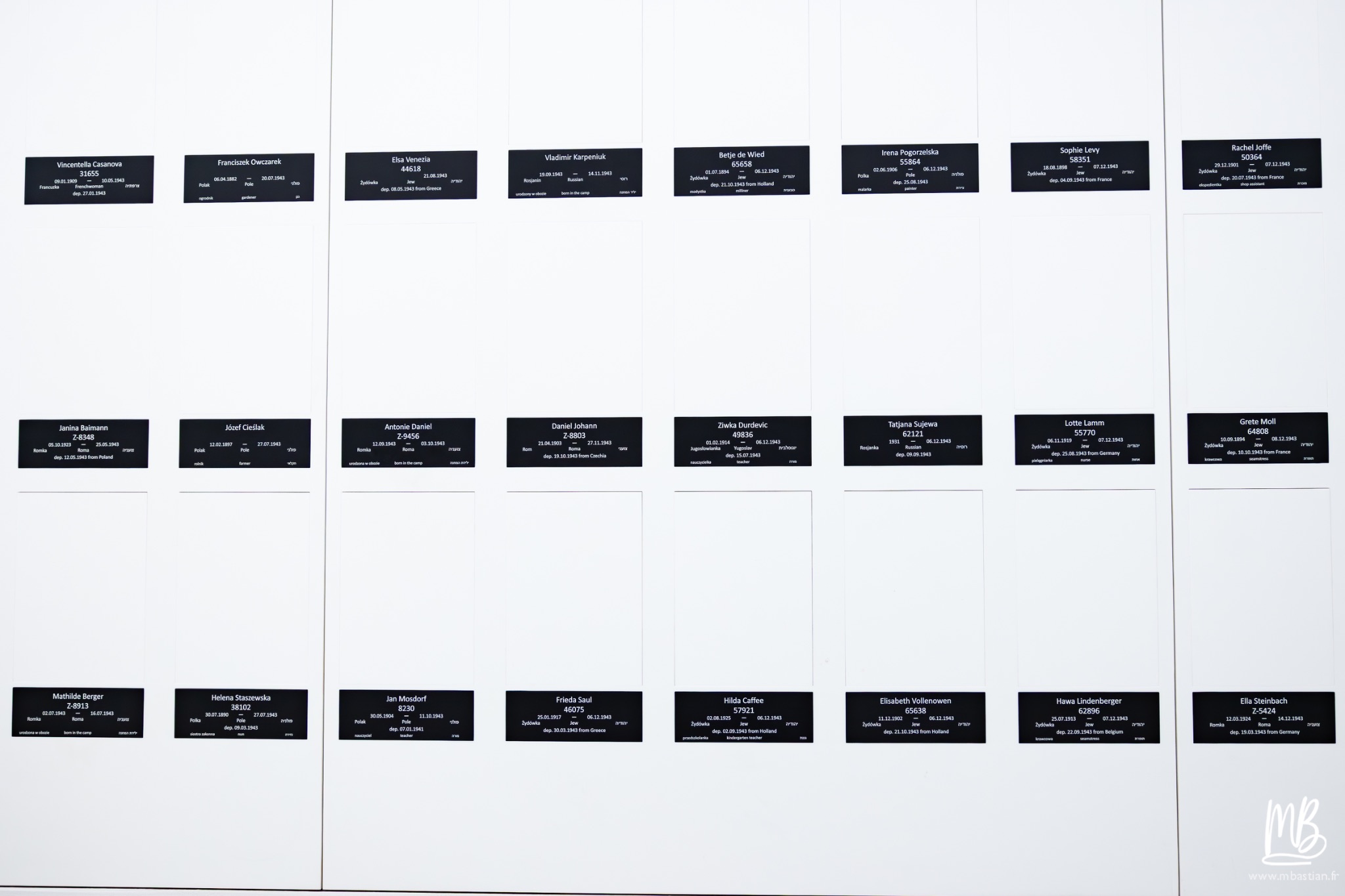 2026 04 03 Auschwitz Birkenau MB 72