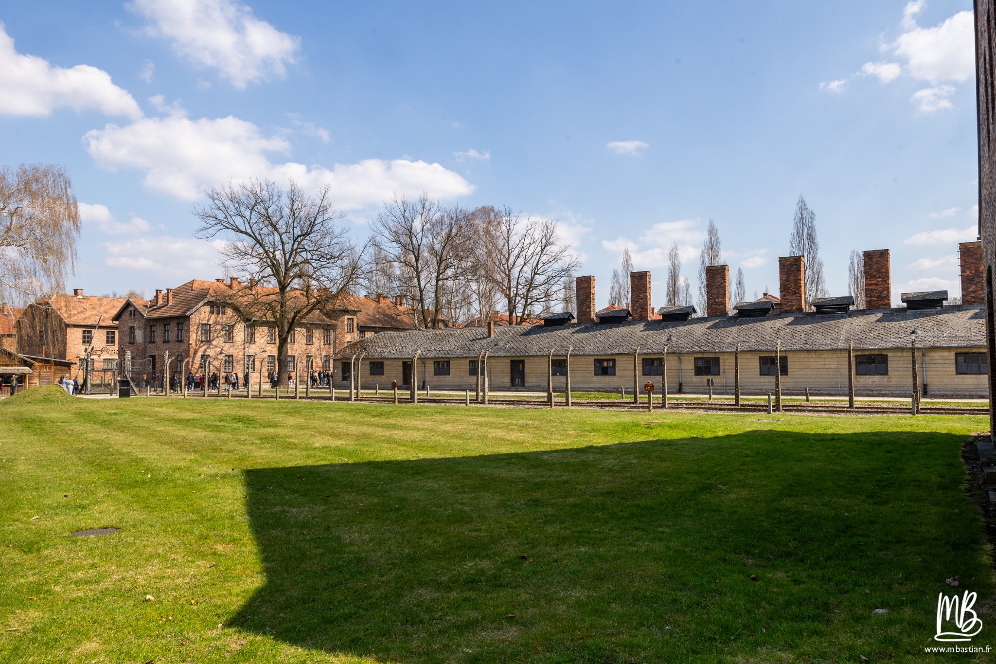 2026 04 03 Auschwitz Birkenau MB 8