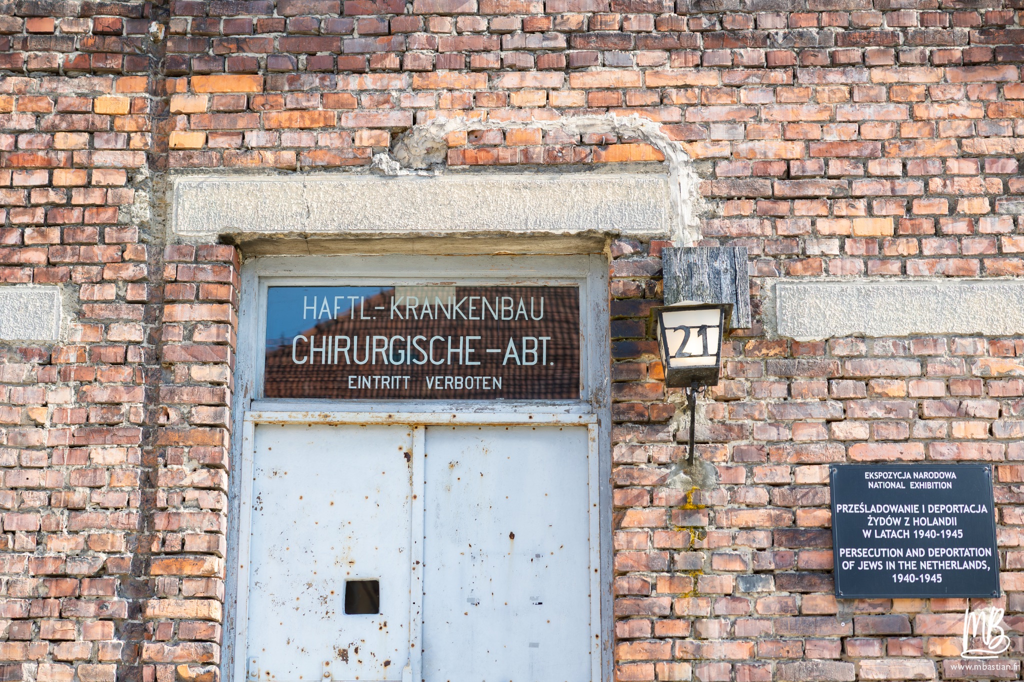 2026 04 03 Auschwitz Birkenau MB 80