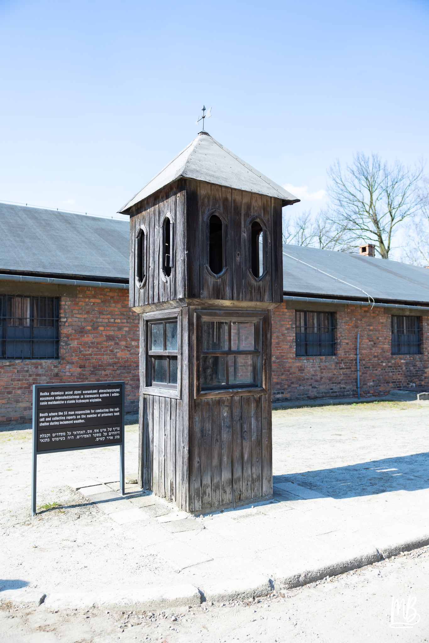 2026 04 03 Auschwitz Birkenau MB 81