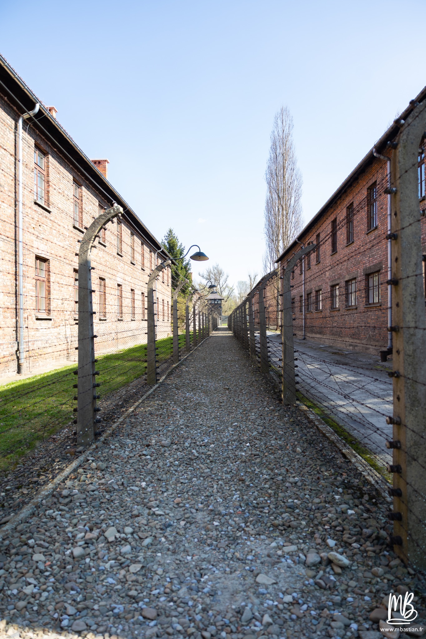 2026 04 03 Auschwitz Birkenau MB 83