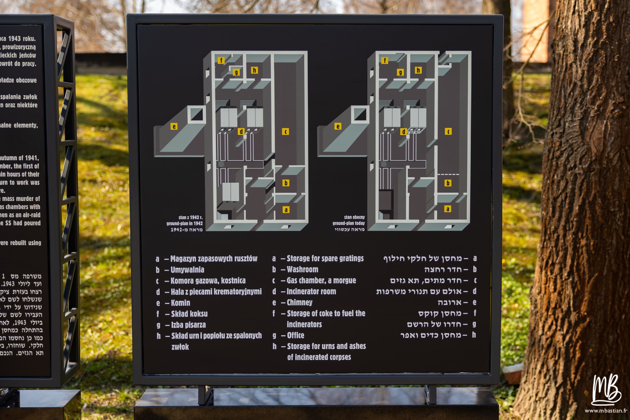 2026 04 03 Auschwitz Birkenau MB 84