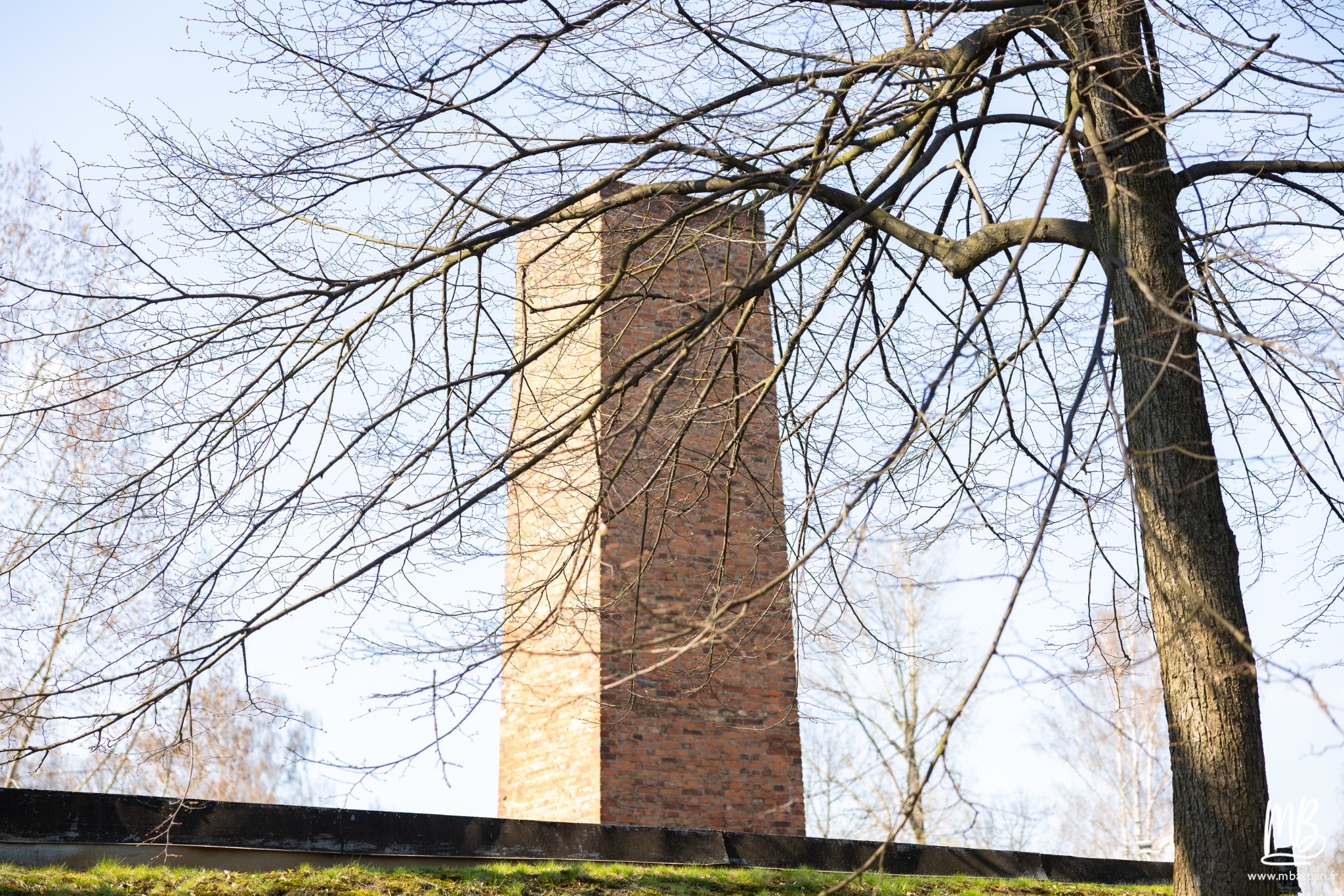 2026 04 03 Auschwitz Birkenau MB 85