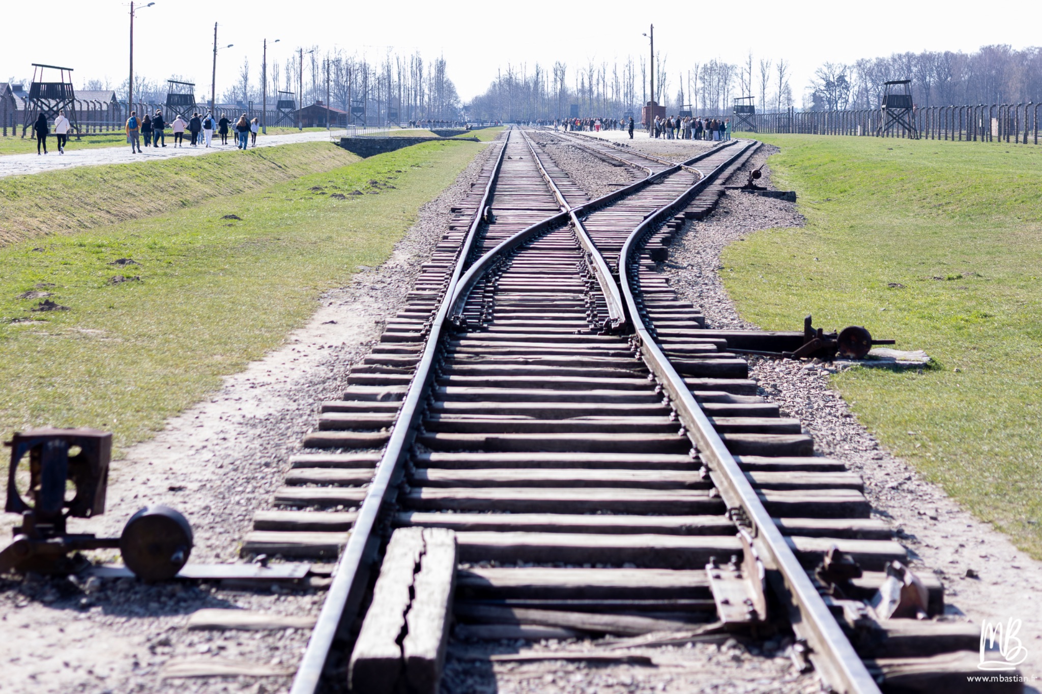 2026 04 03 Auschwitz Birkenau MB 89