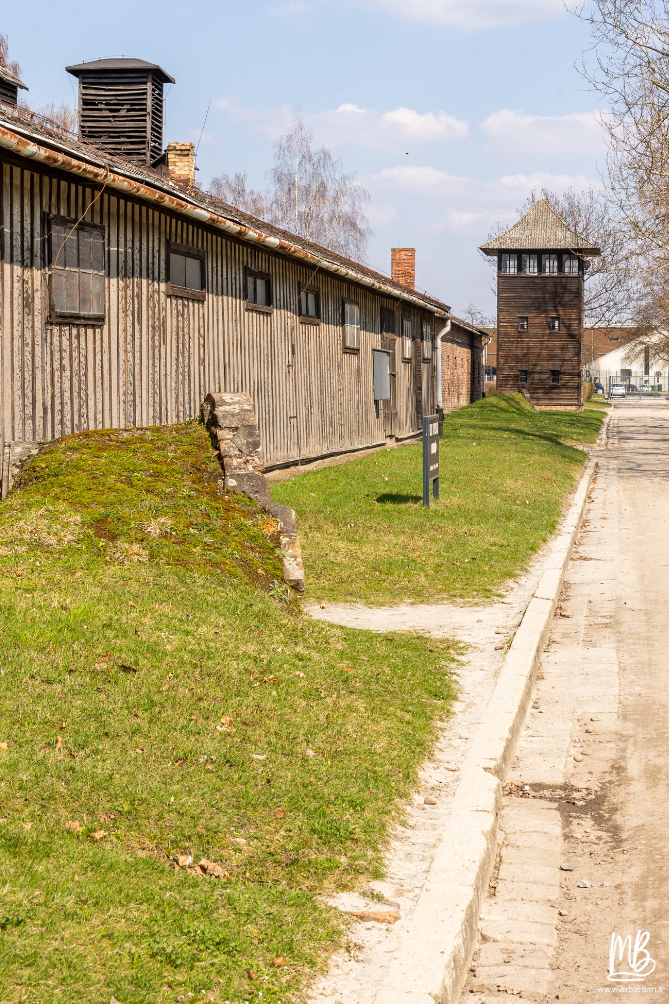 2026 04 03 Auschwitz Birkenau MB 9