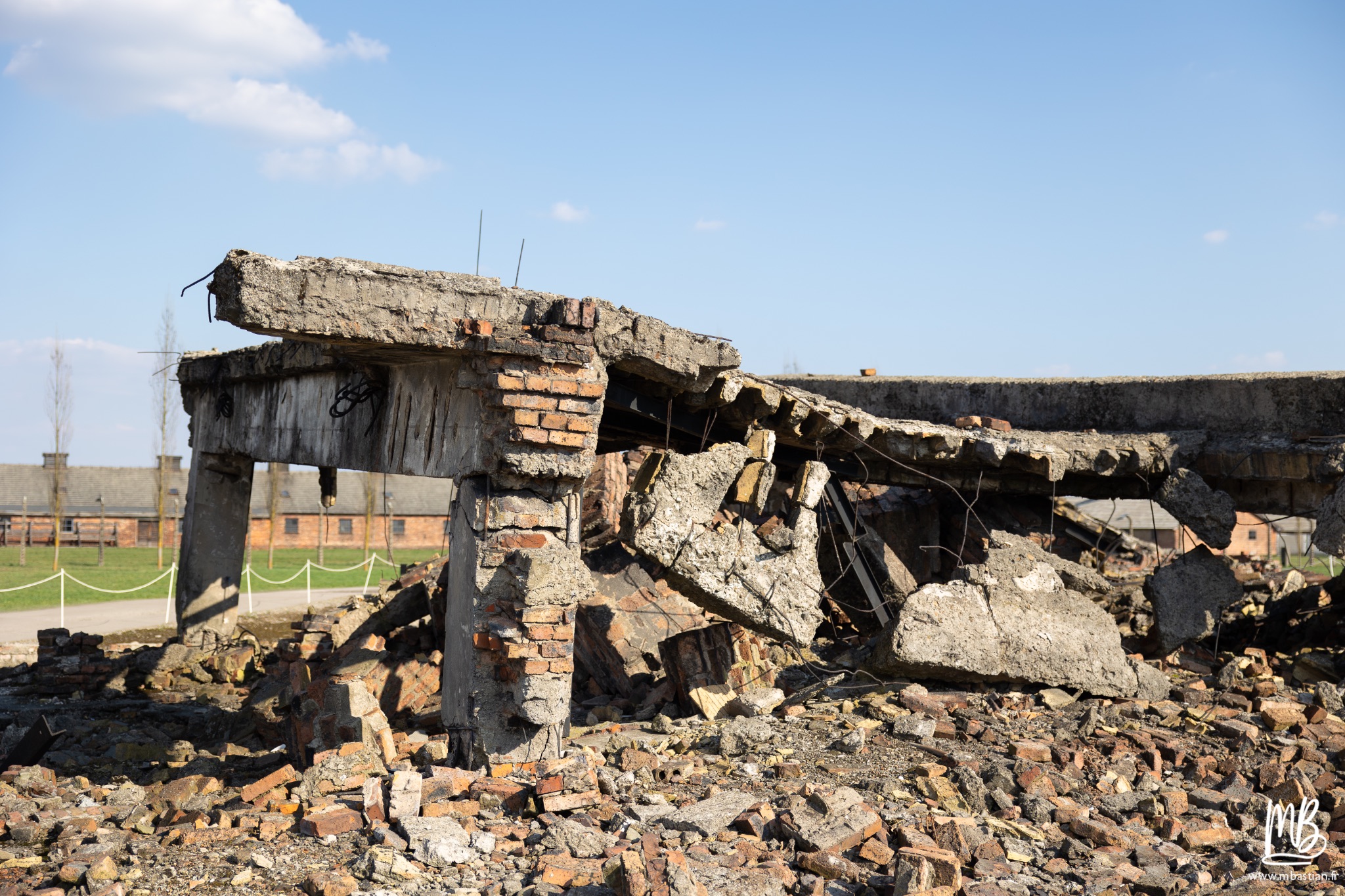 2026 04 03 Auschwitz Birkenau MB 99