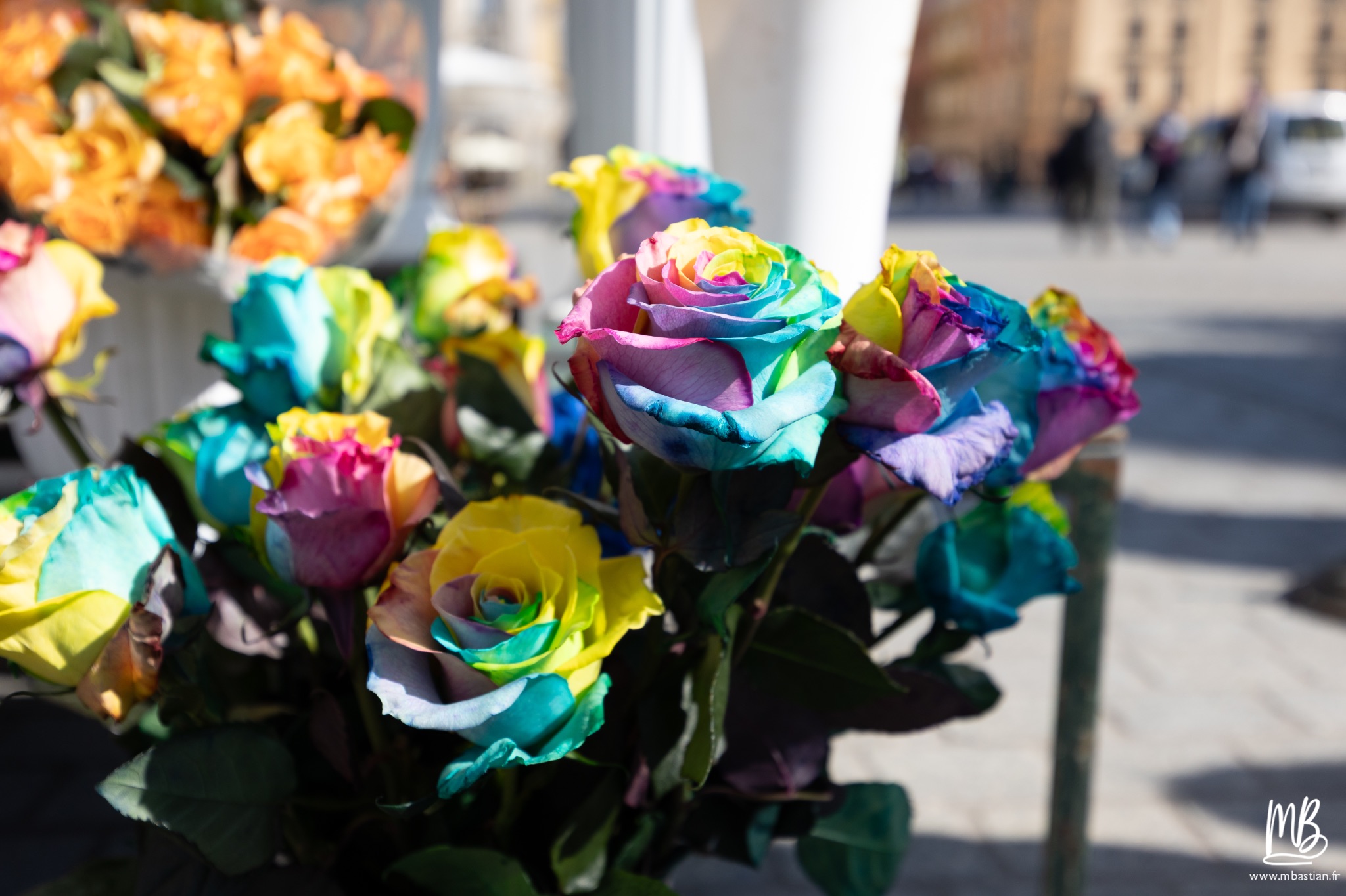 2026 04 04 CRACOVIE MB 22