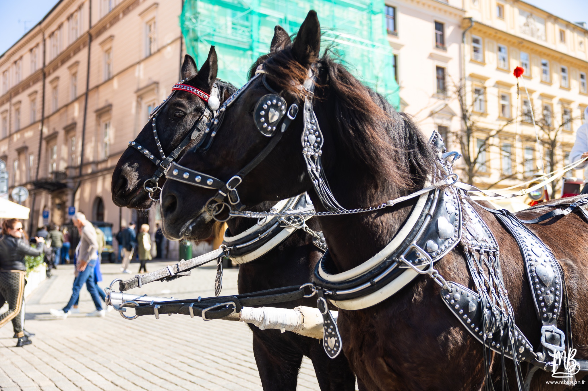 2026 04 04 CRACOVIE MB 41