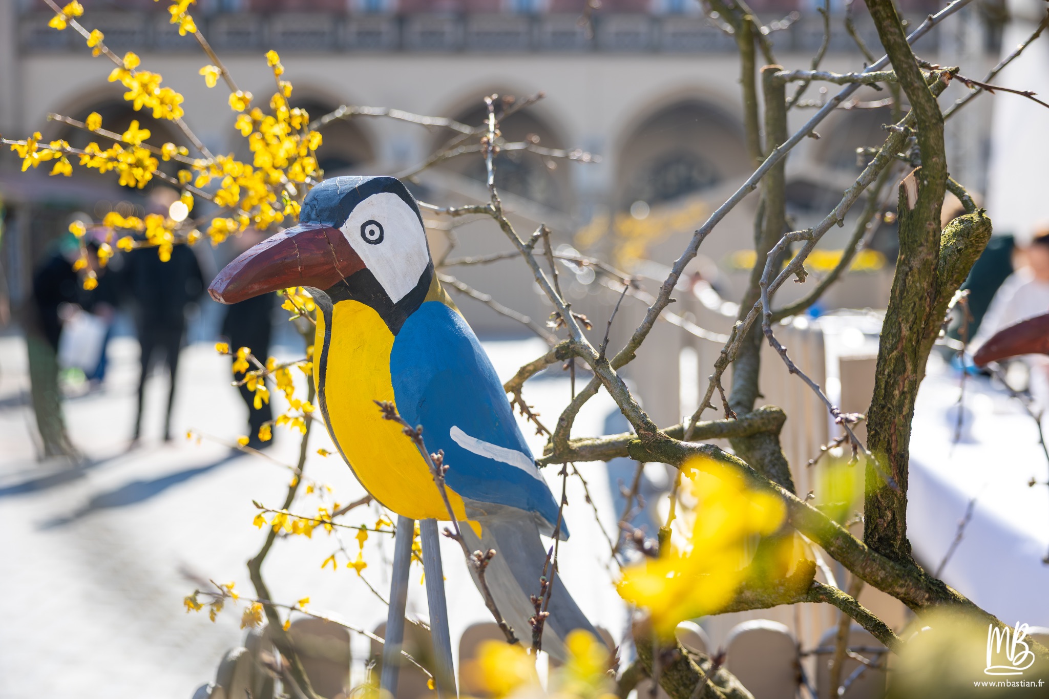 2026 04 04 CRACOVIE MB 5