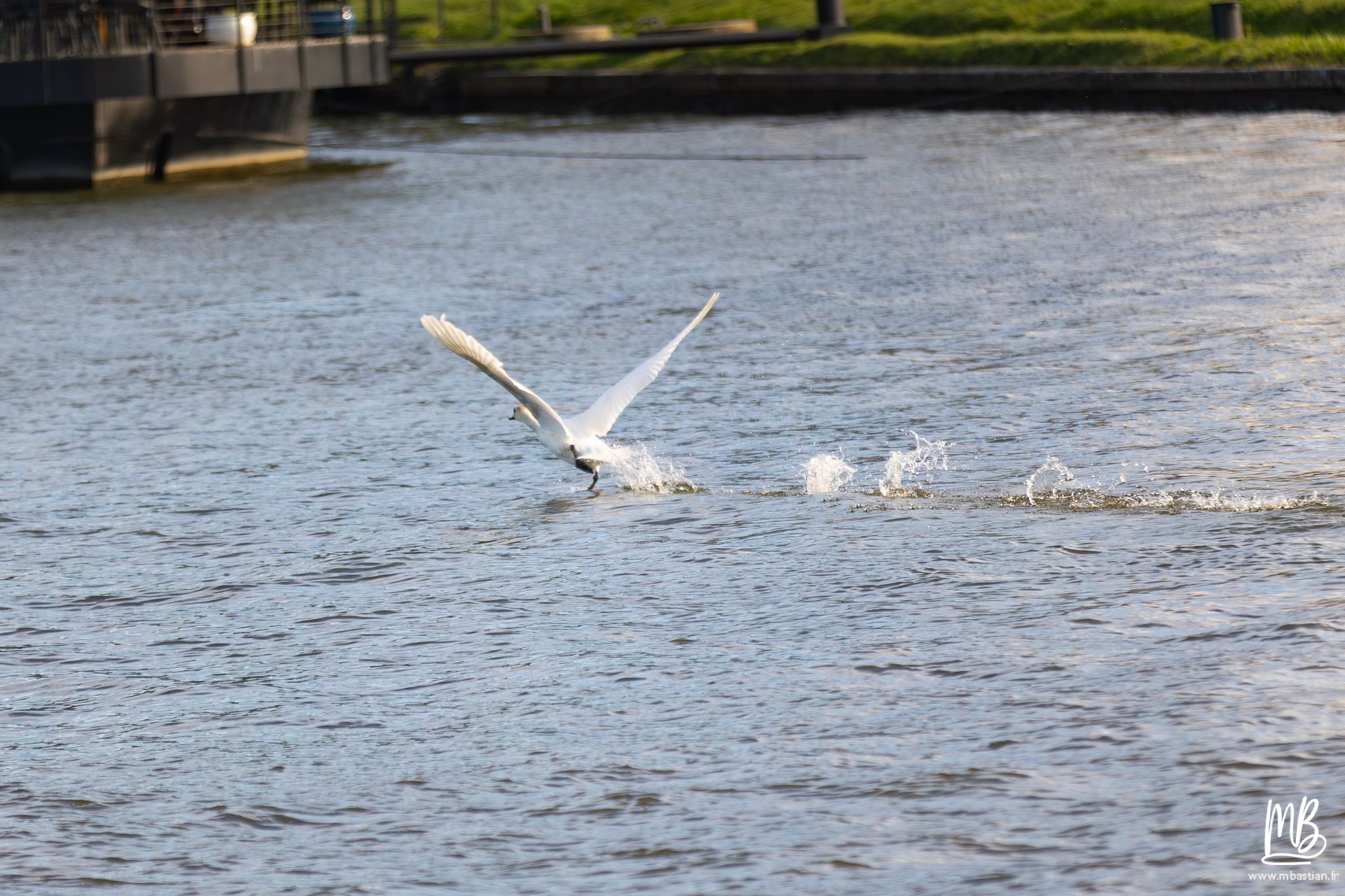 2026 04 05 CRACOVIE MB 125