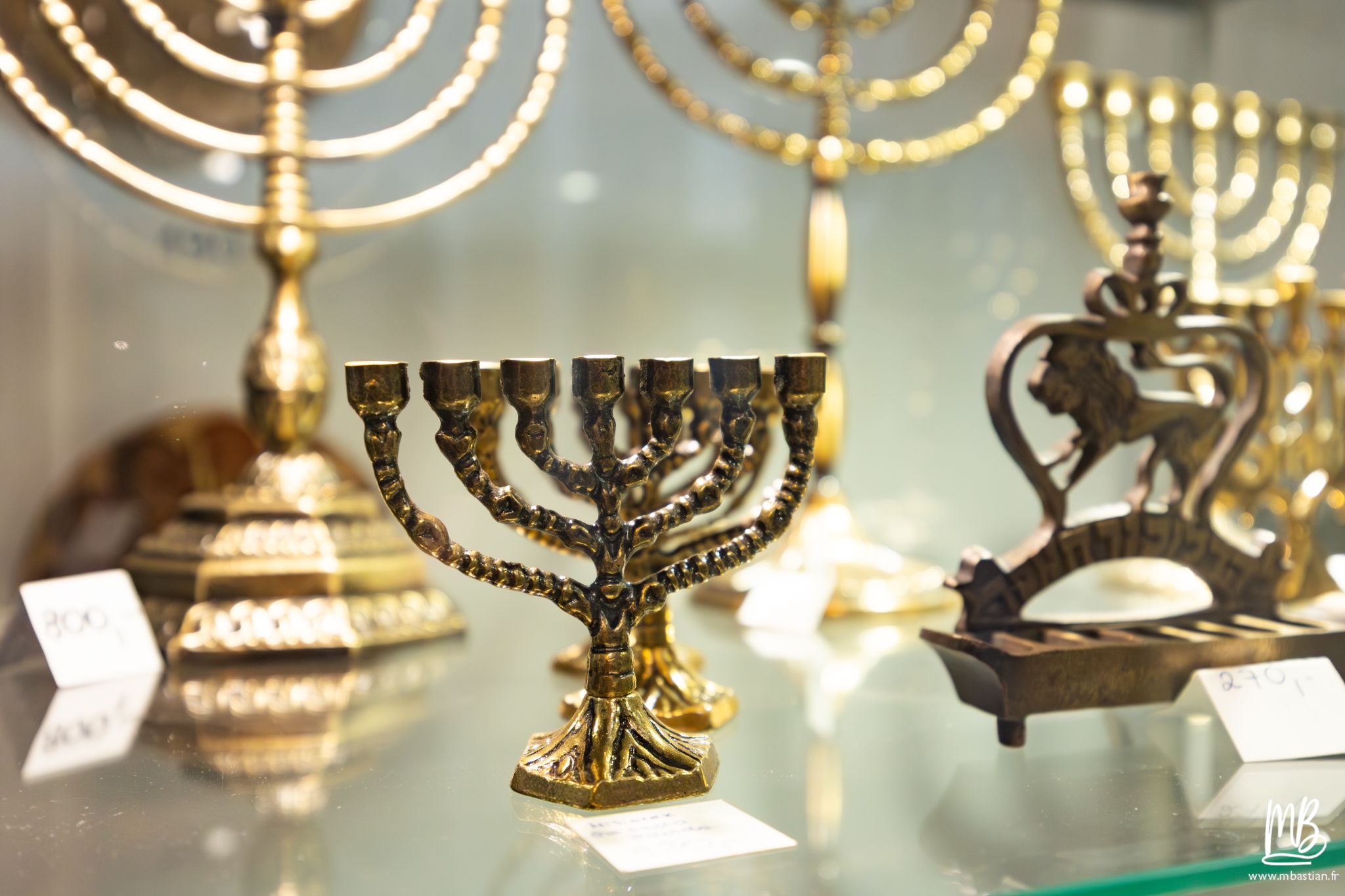 2026 04 05 CRACOVIE MB 25