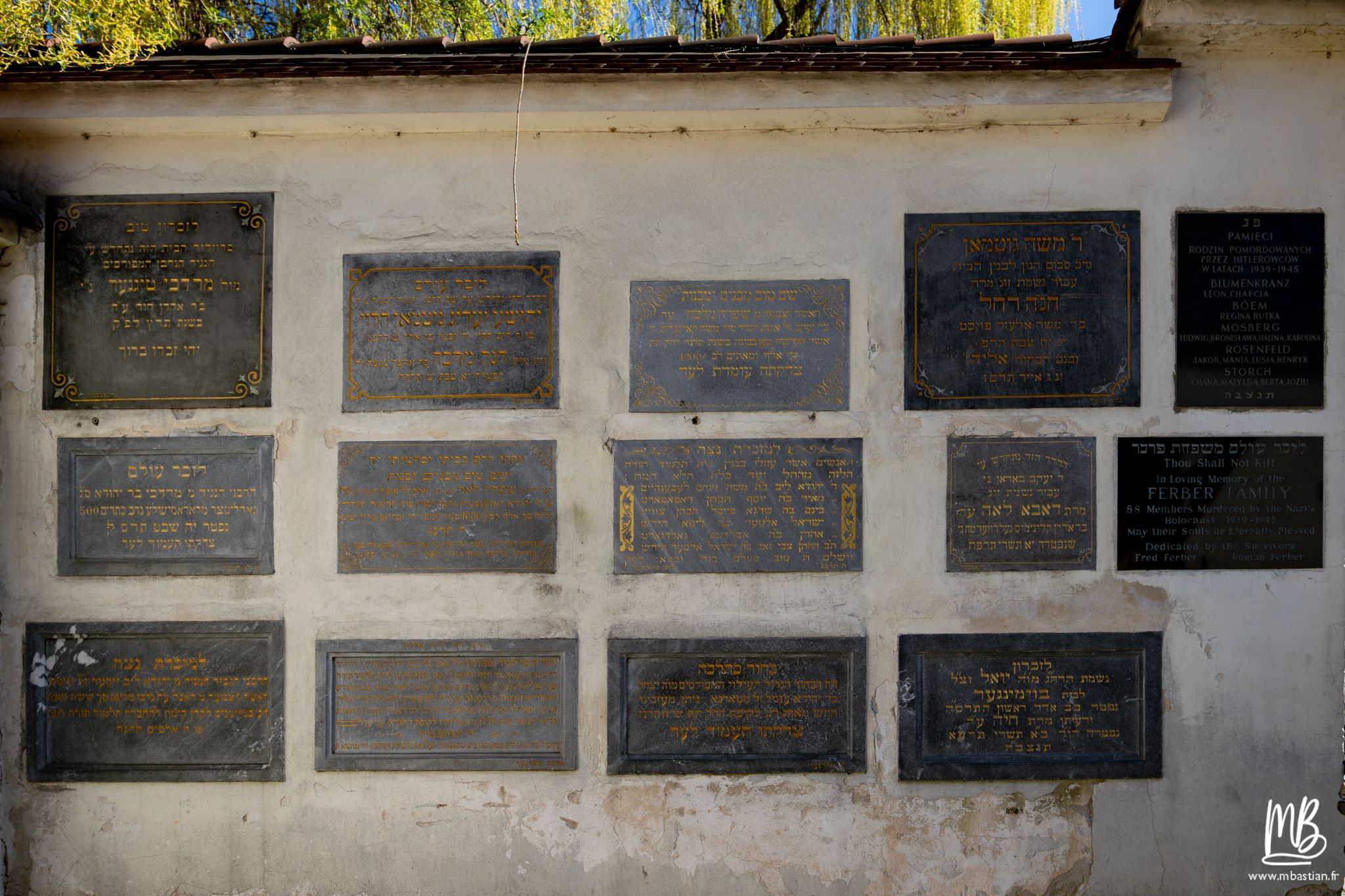 2026 04 05 CRACOVIE MB 33