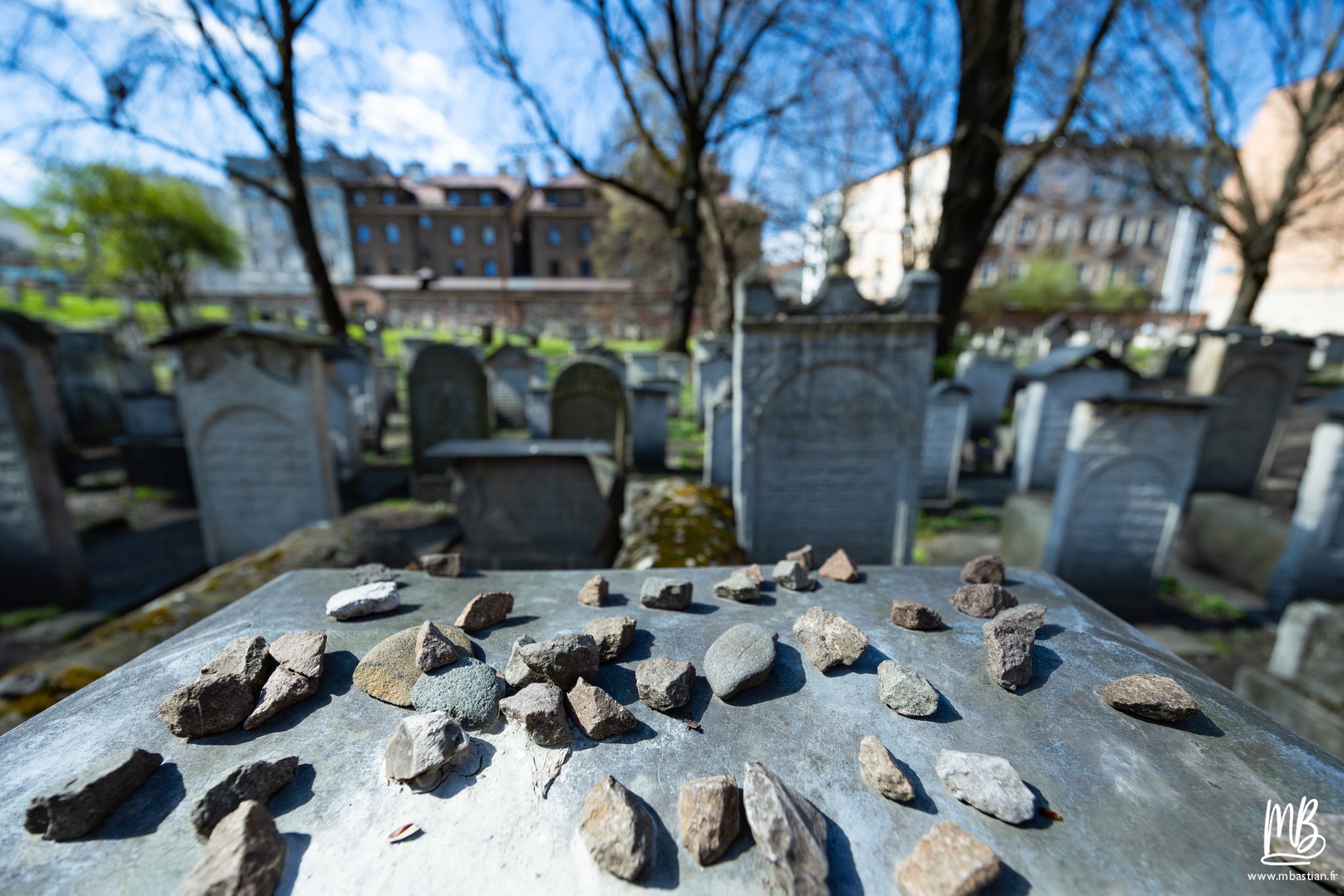 2026 04 05 CRACOVIE MB 34