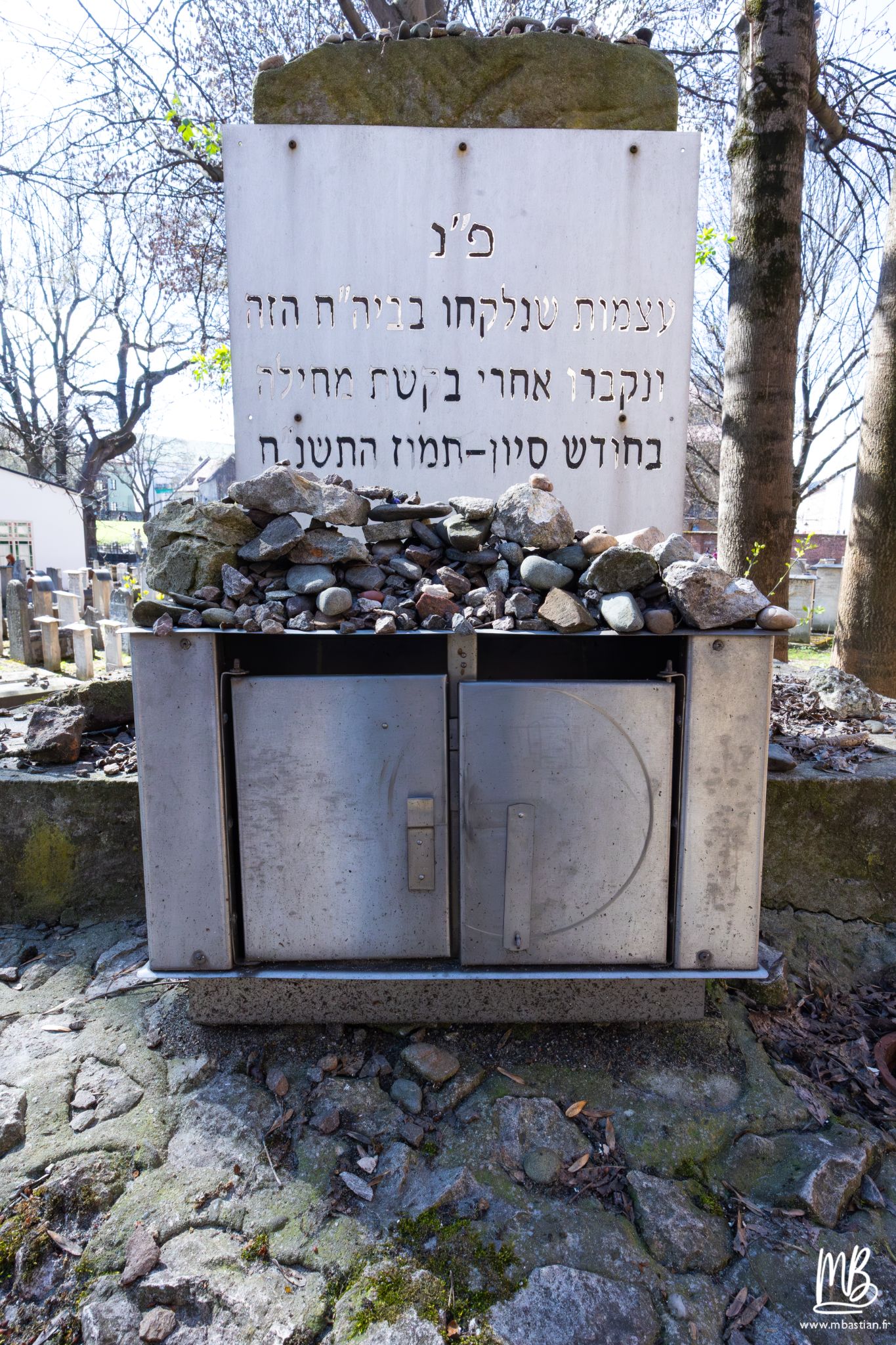 2026 04 05 CRACOVIE MB 39