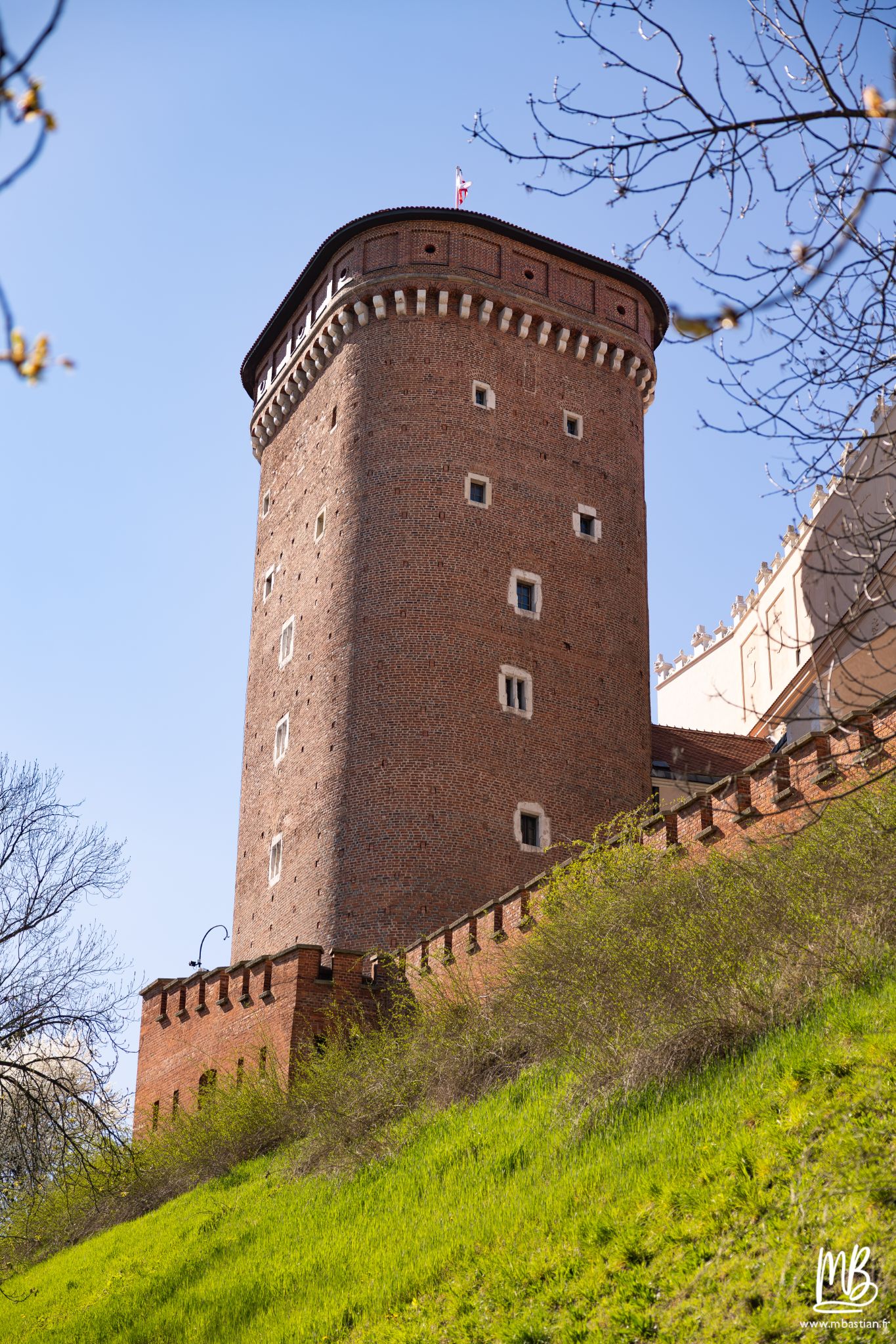 2026 04 05 CRACOVIE MB 78