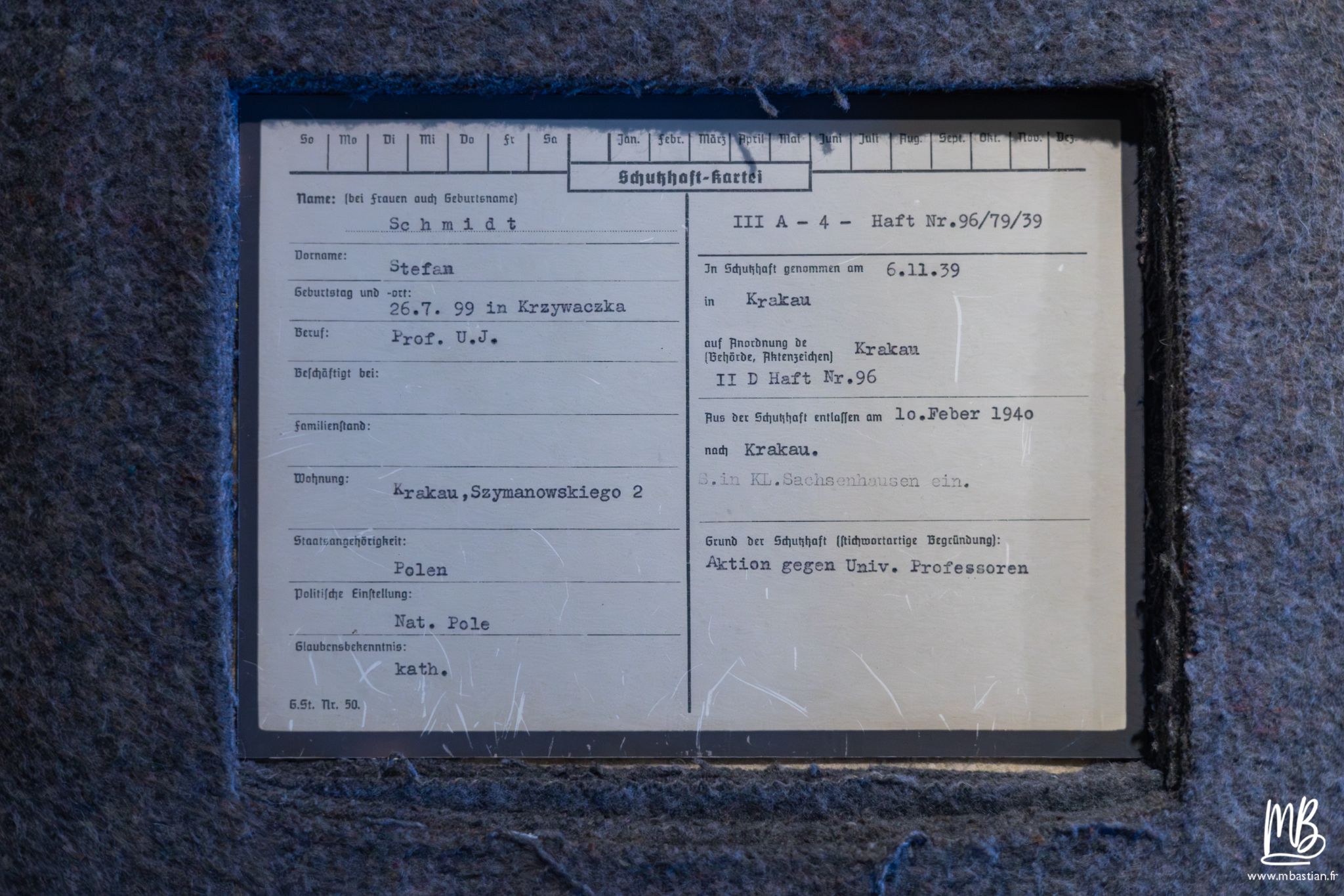 2026 04 05 CRACOVIE MB 14