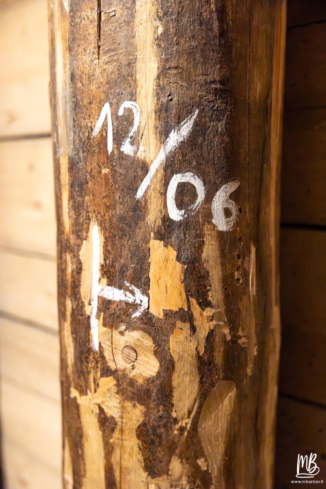 2026 04 04 CRACOVIE MB 22