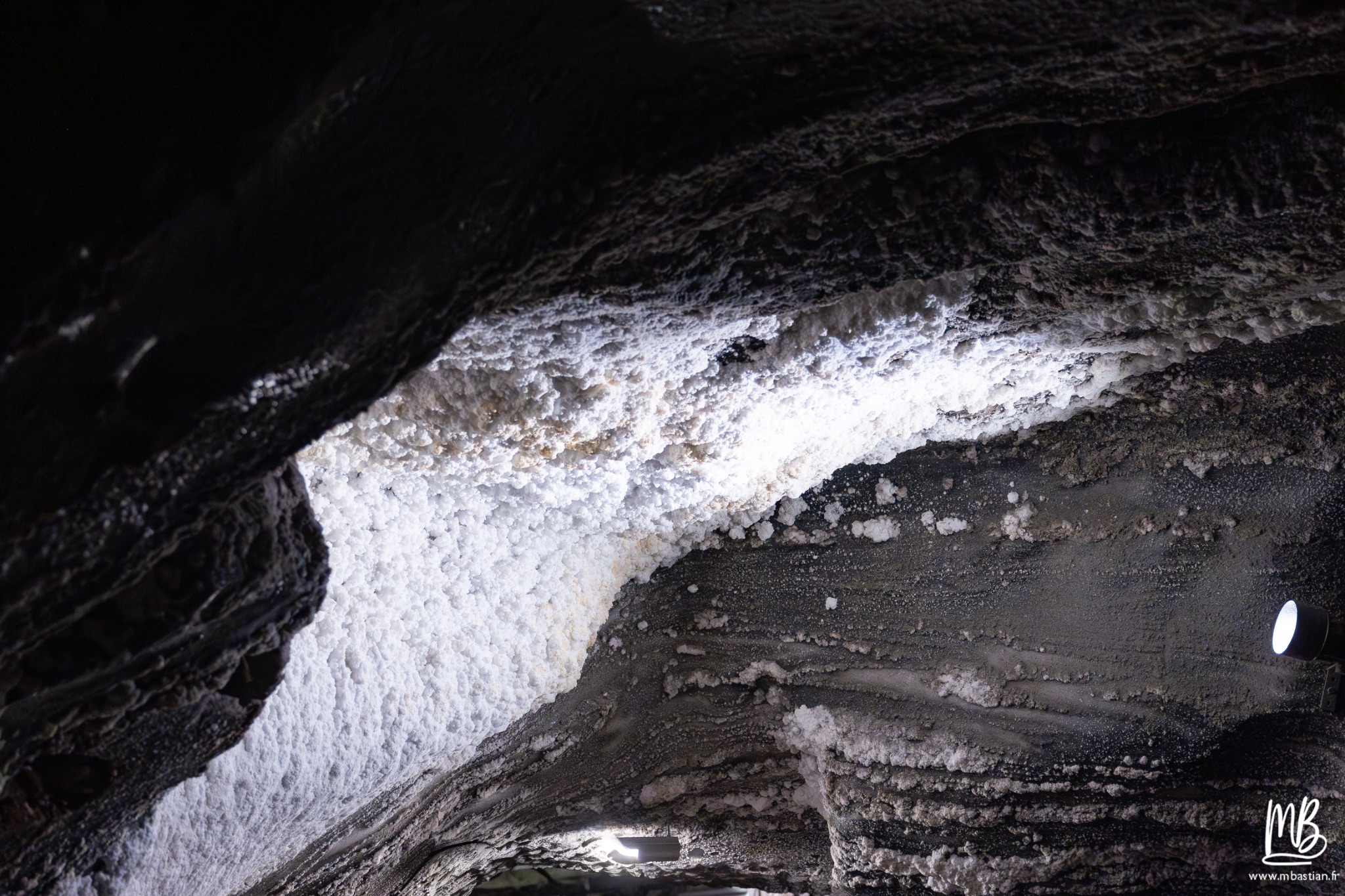 2026 04 04 CRACOVIE MB 33