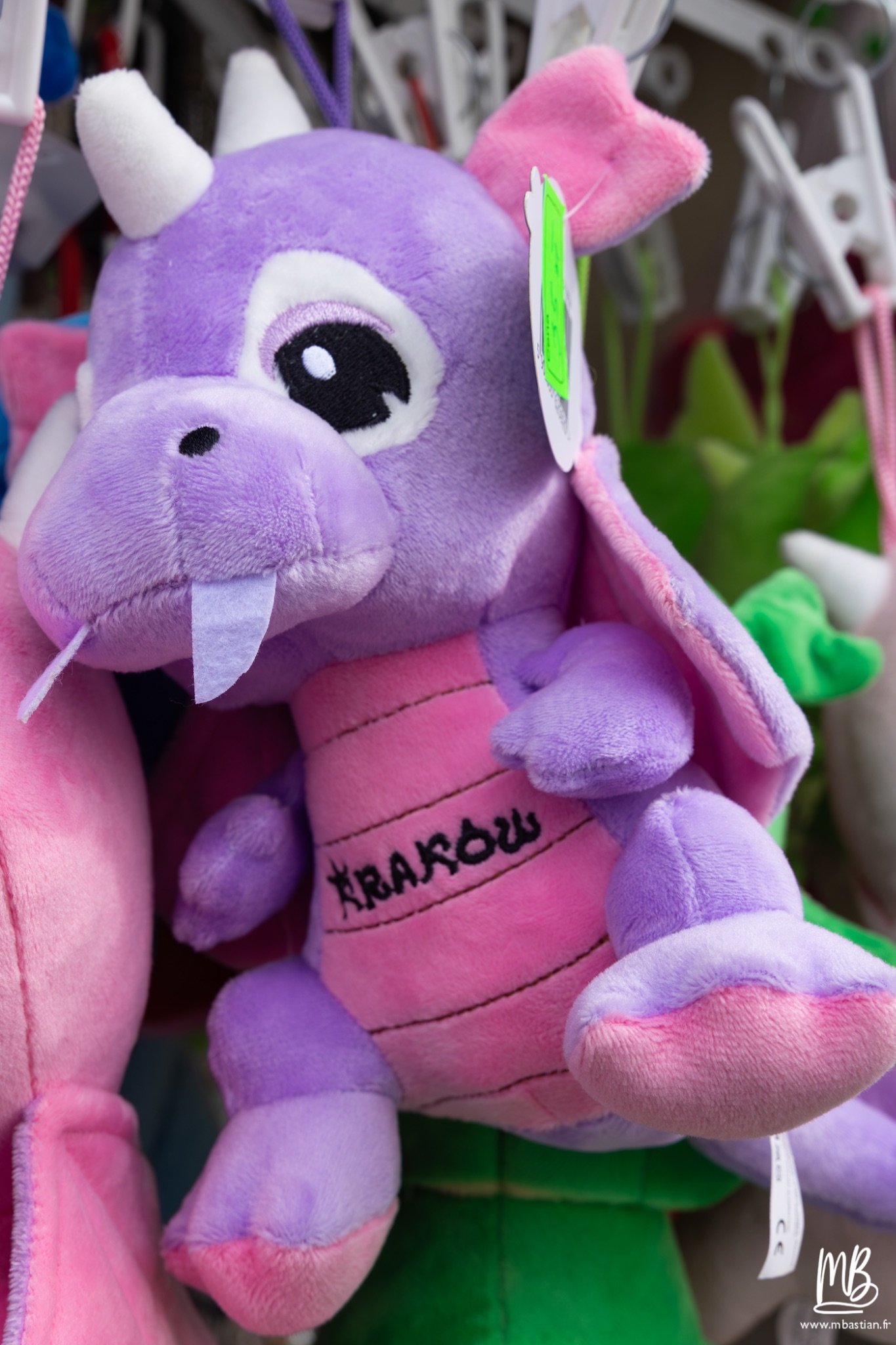 2026 04 04 CRACOVIE MB 4