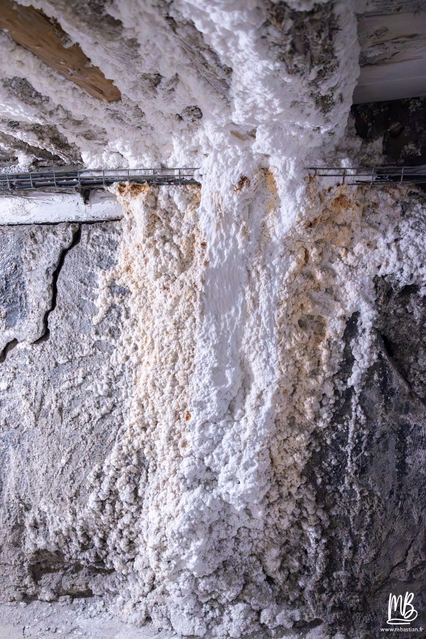 2026 04 04 CRACOVIE MB 45